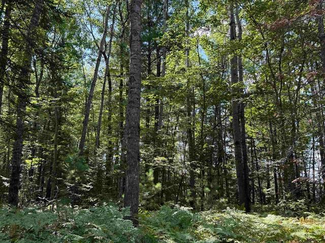 xxx W Gravel Pit Road