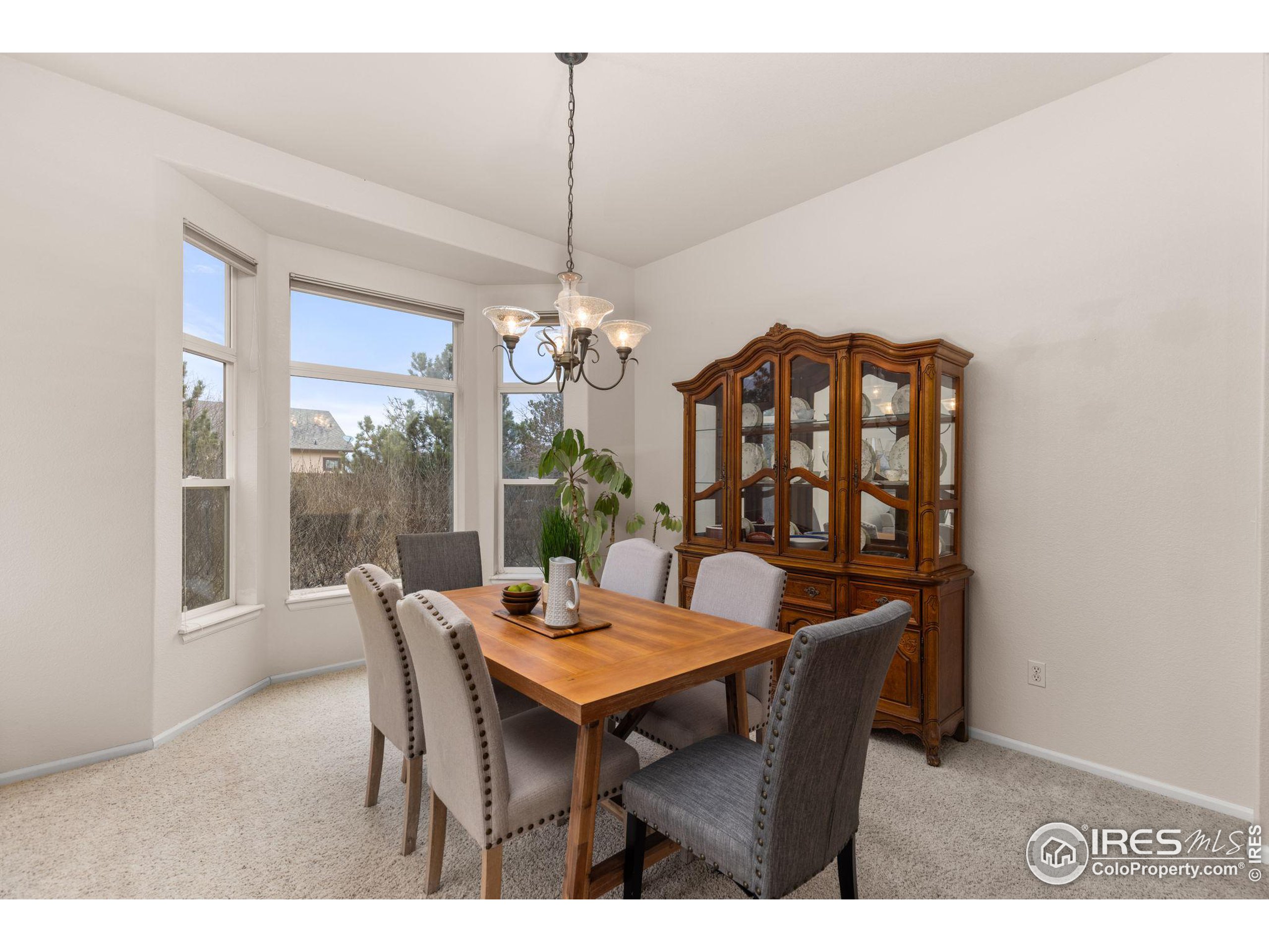 8878 Longs Peak Cir