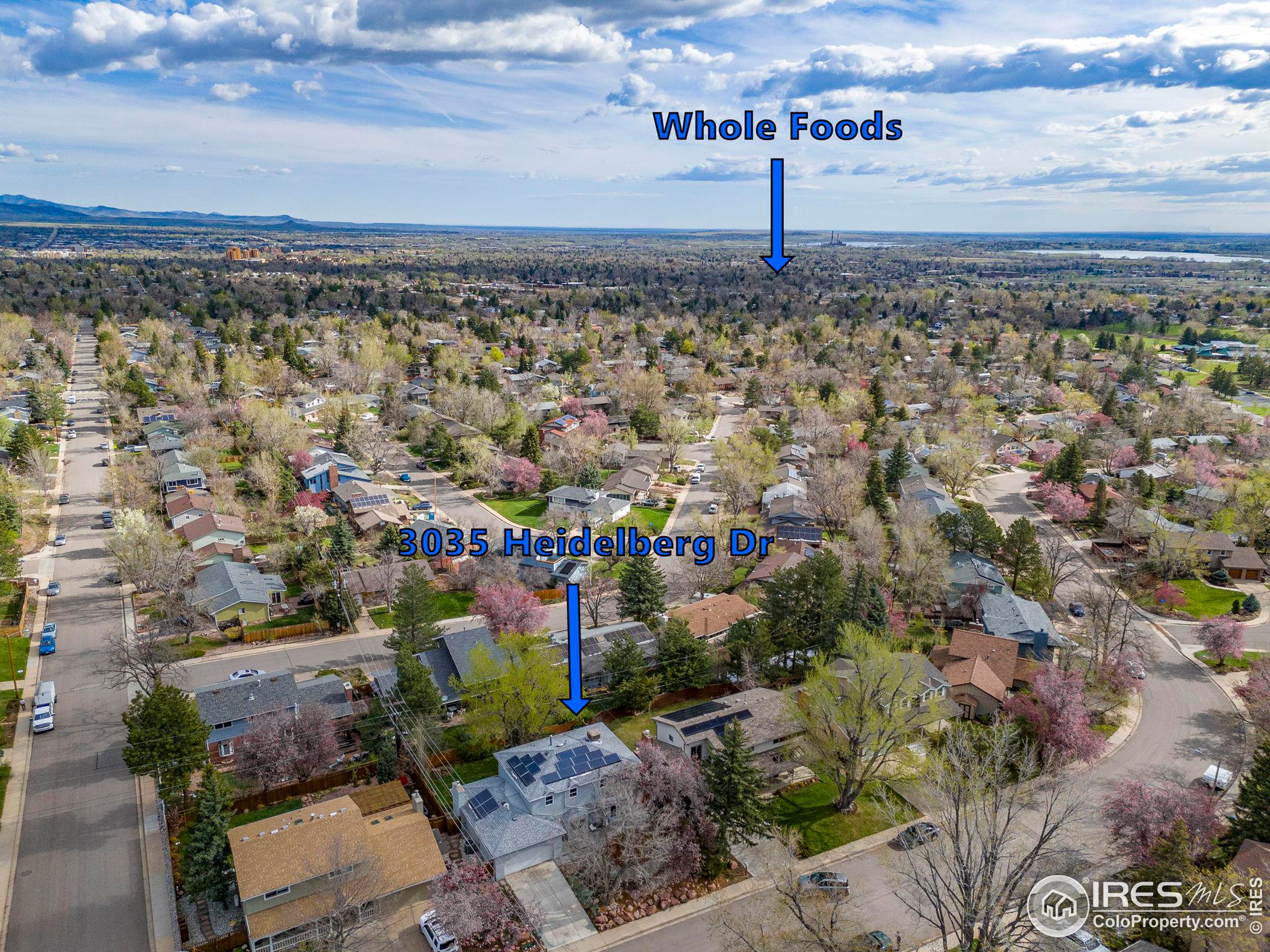 3035 Heidelberg Dr
