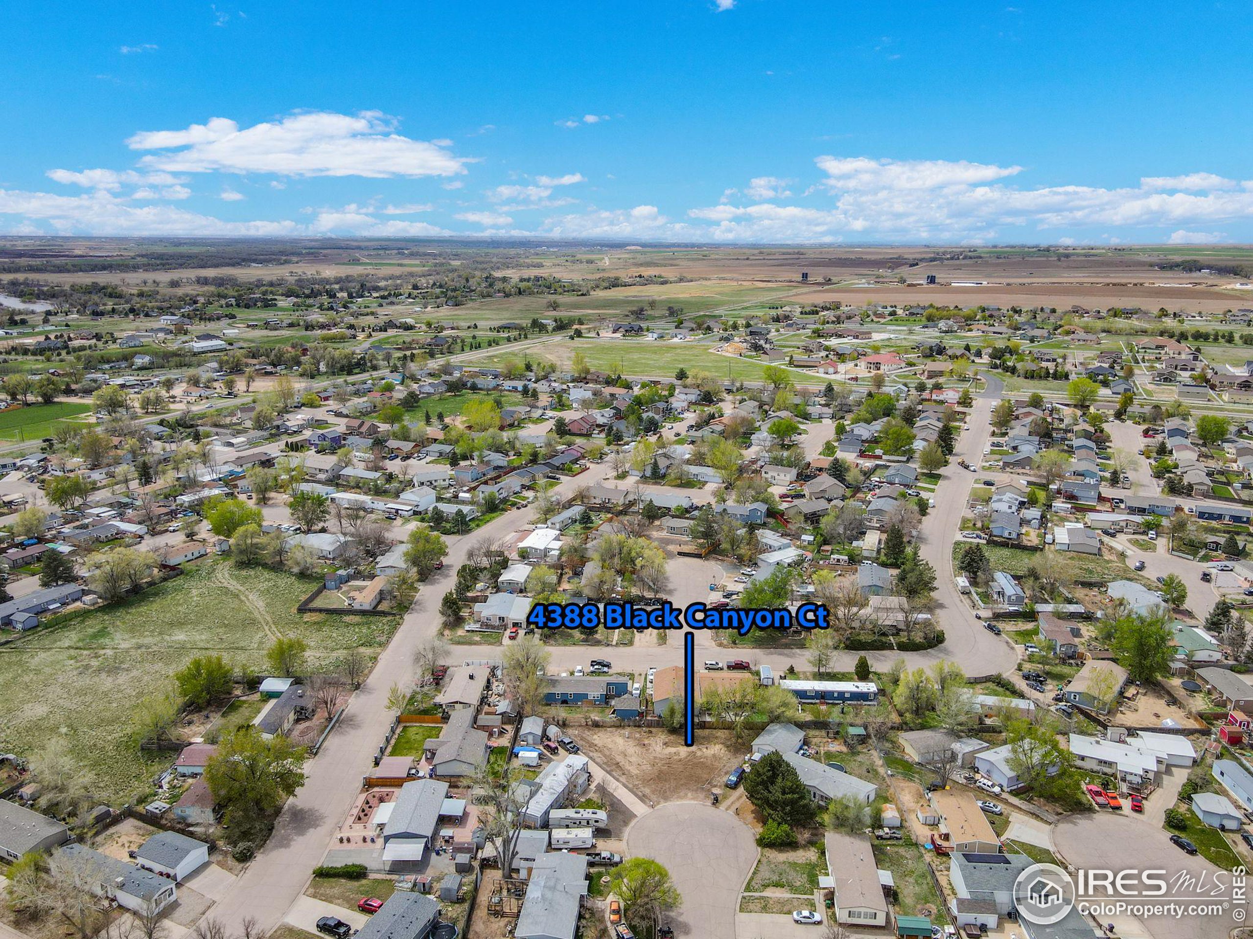 4388 Black Canyon Ct