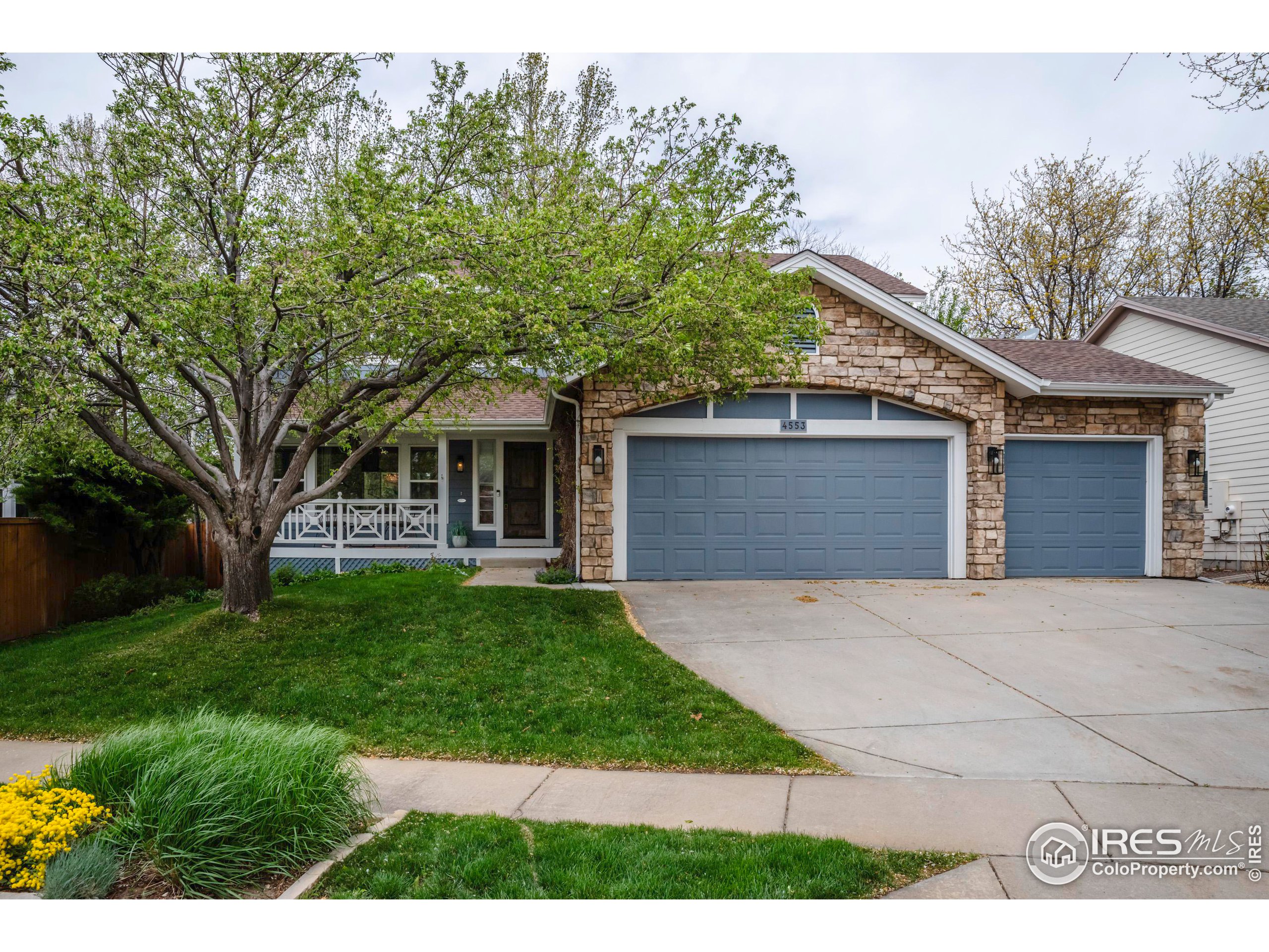 4553 Pussy Willow Ct