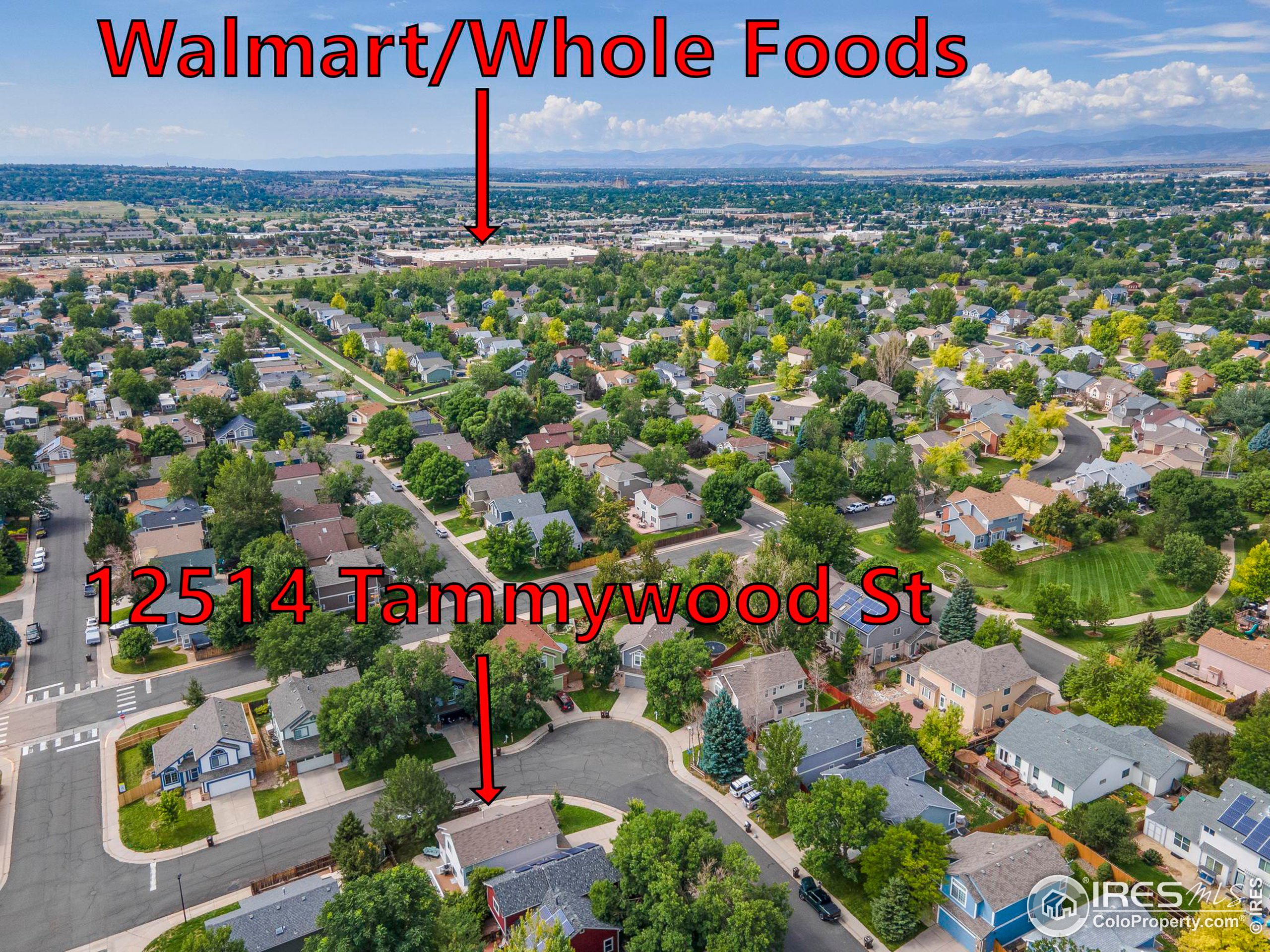 12514 Tammywood St