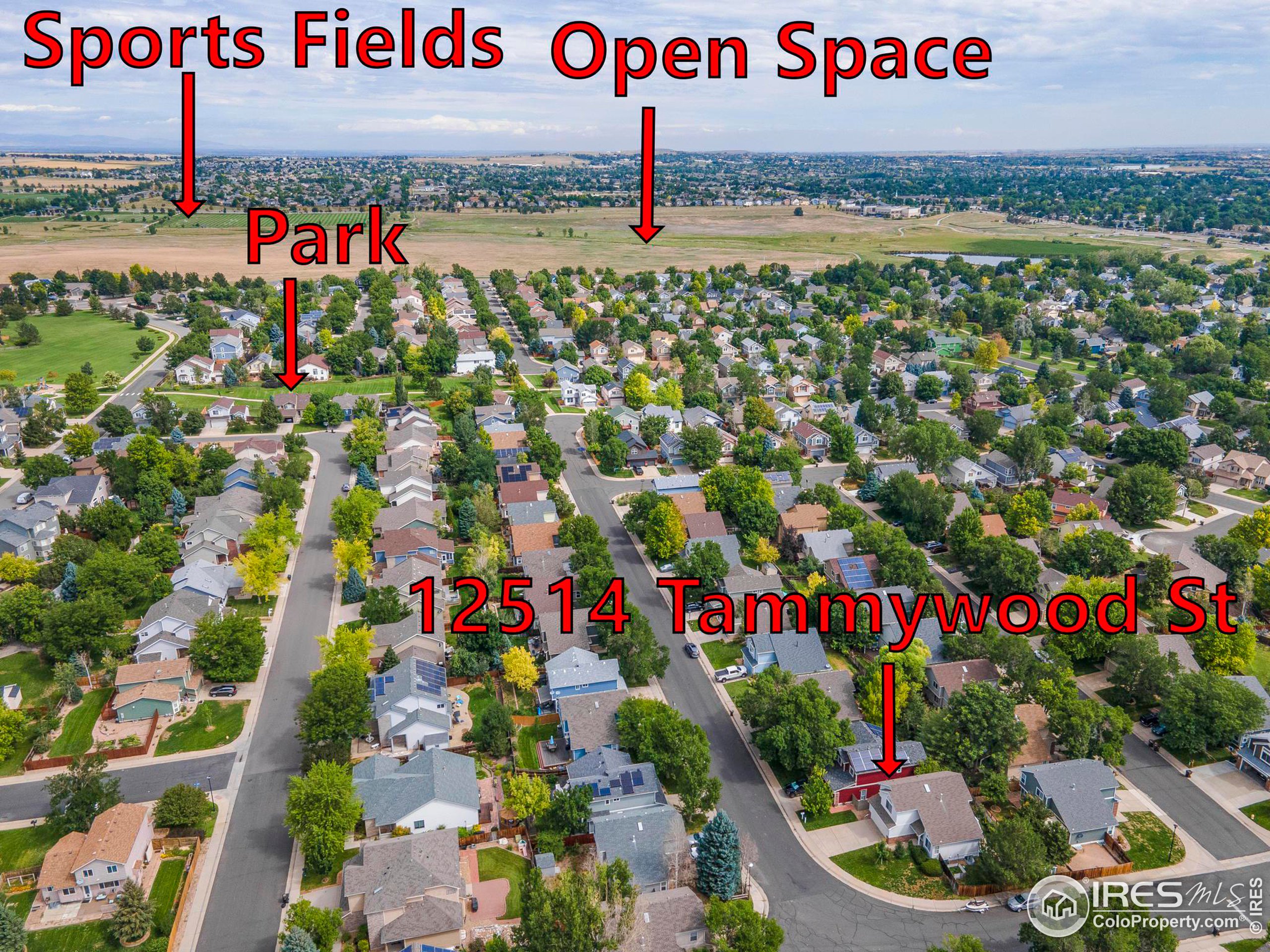 12514 Tammywood St