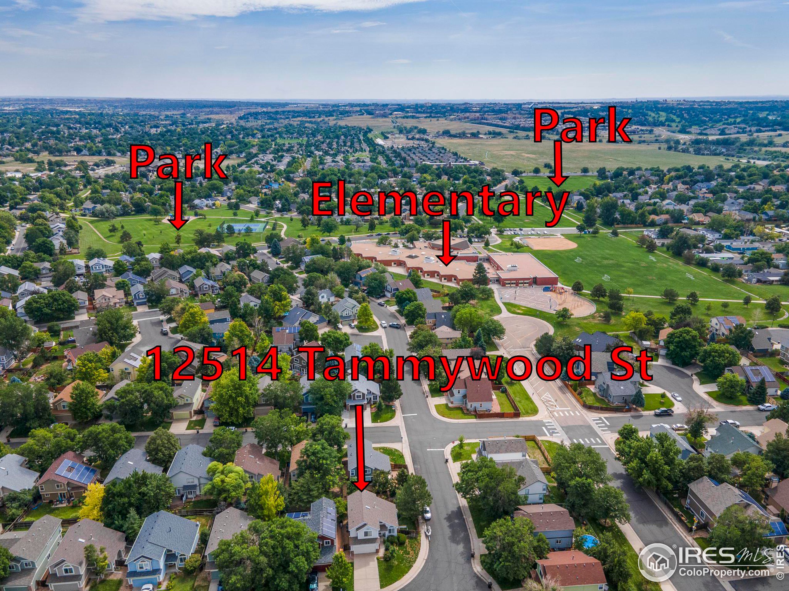 12514 Tammywood St