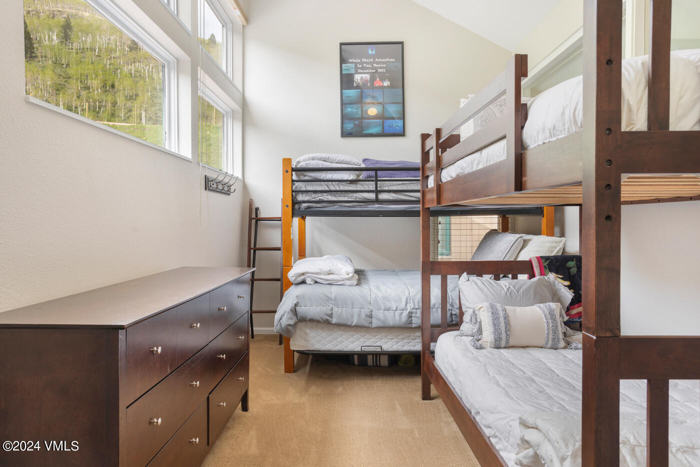 4011 Bighorn, 6-F