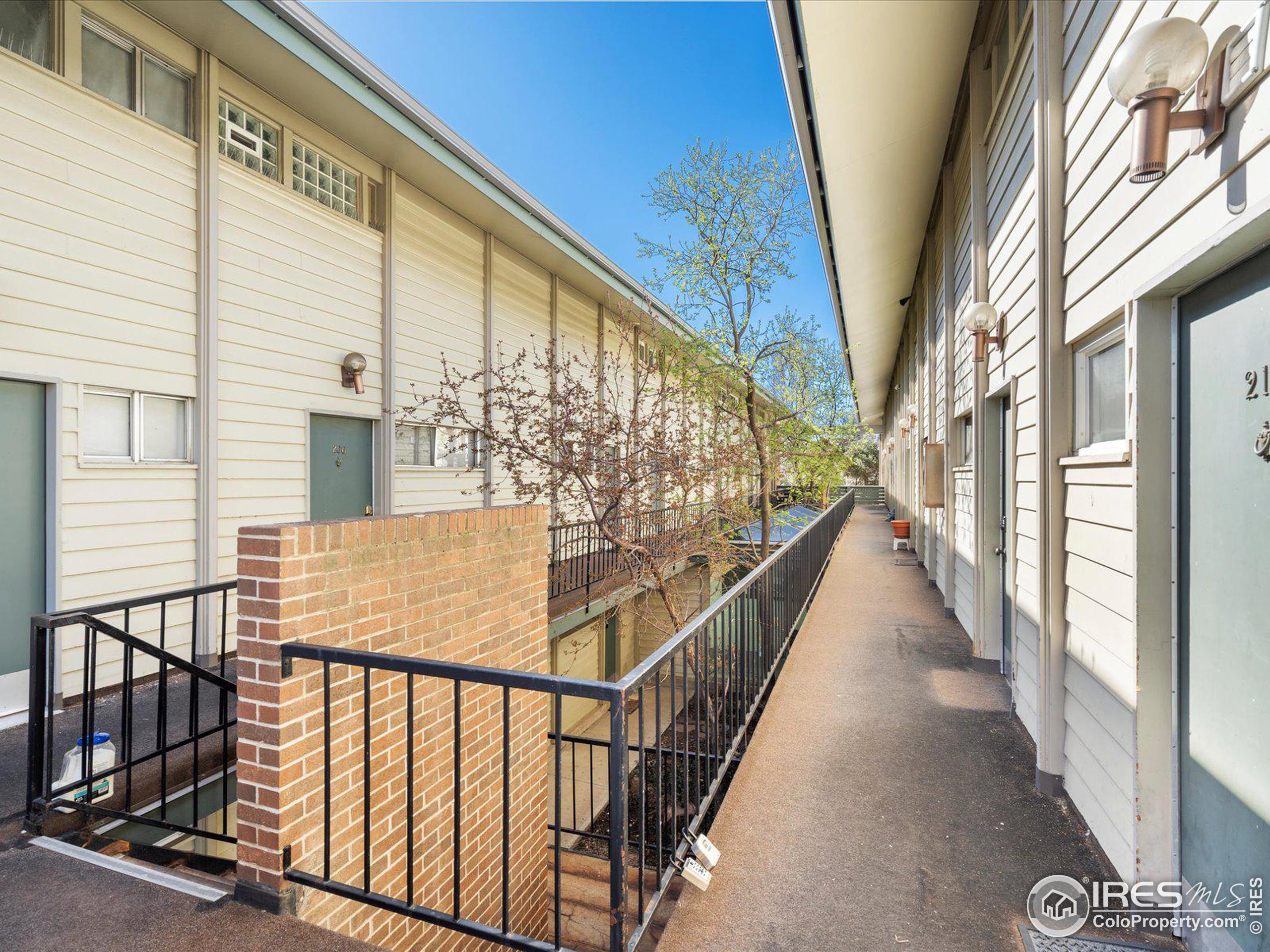 1842 Canyon Blvd 215