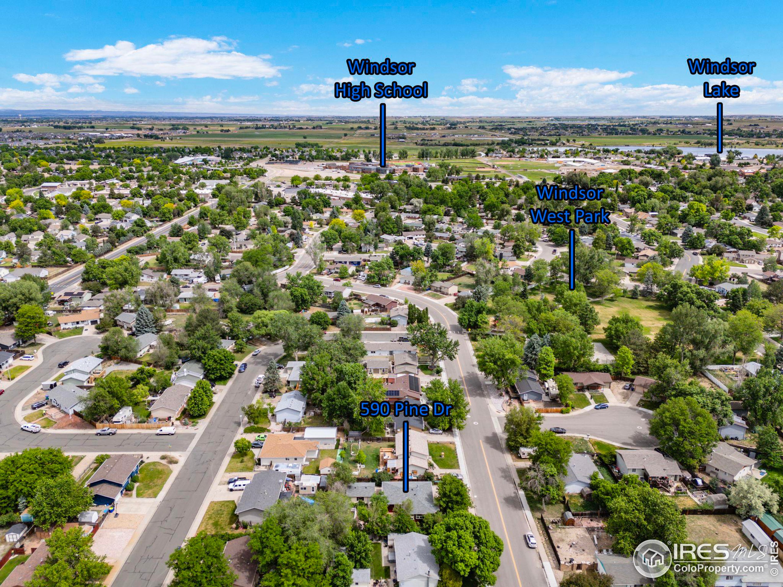 590 Pine Dr