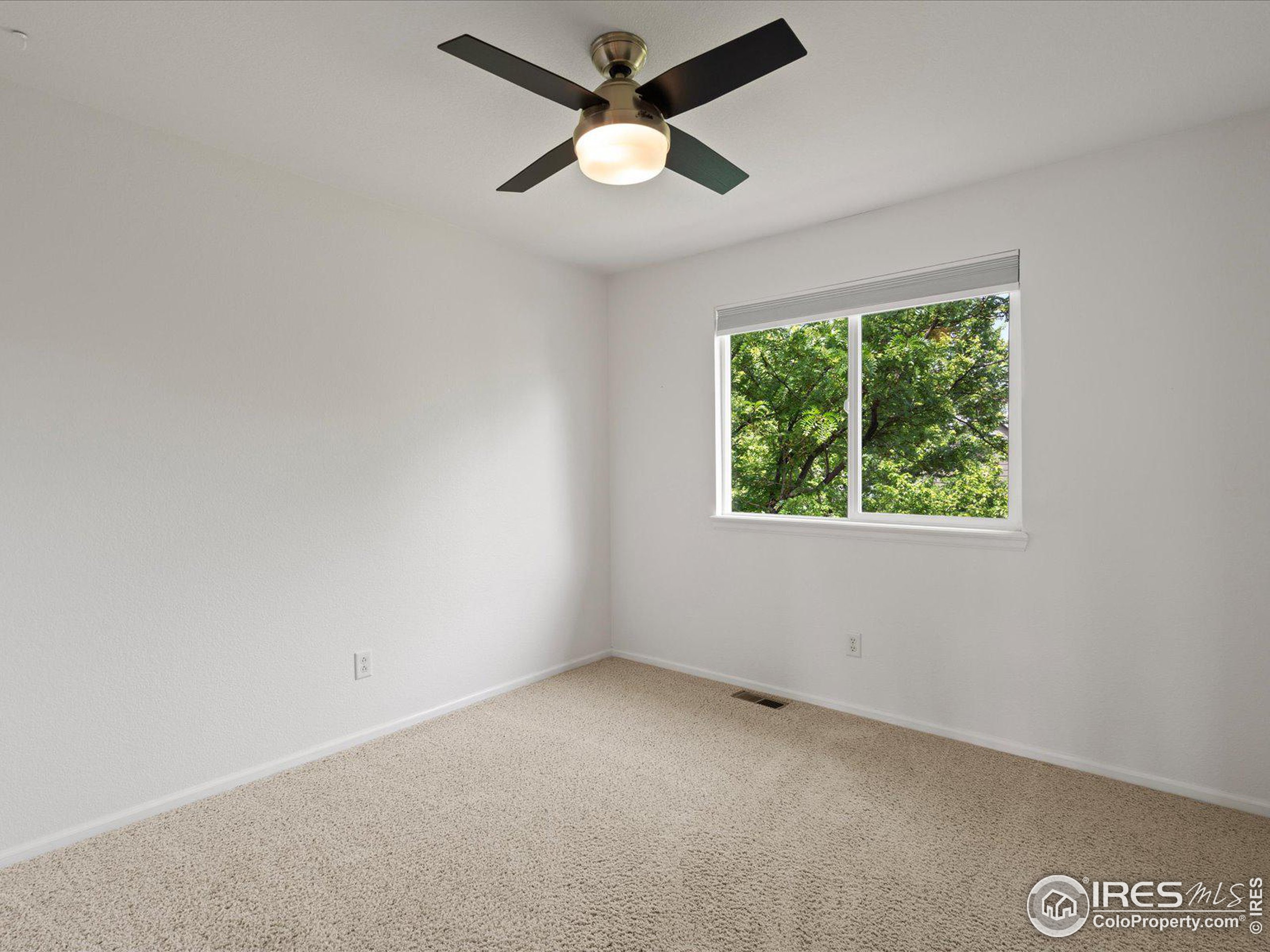 1459 Aster Ct