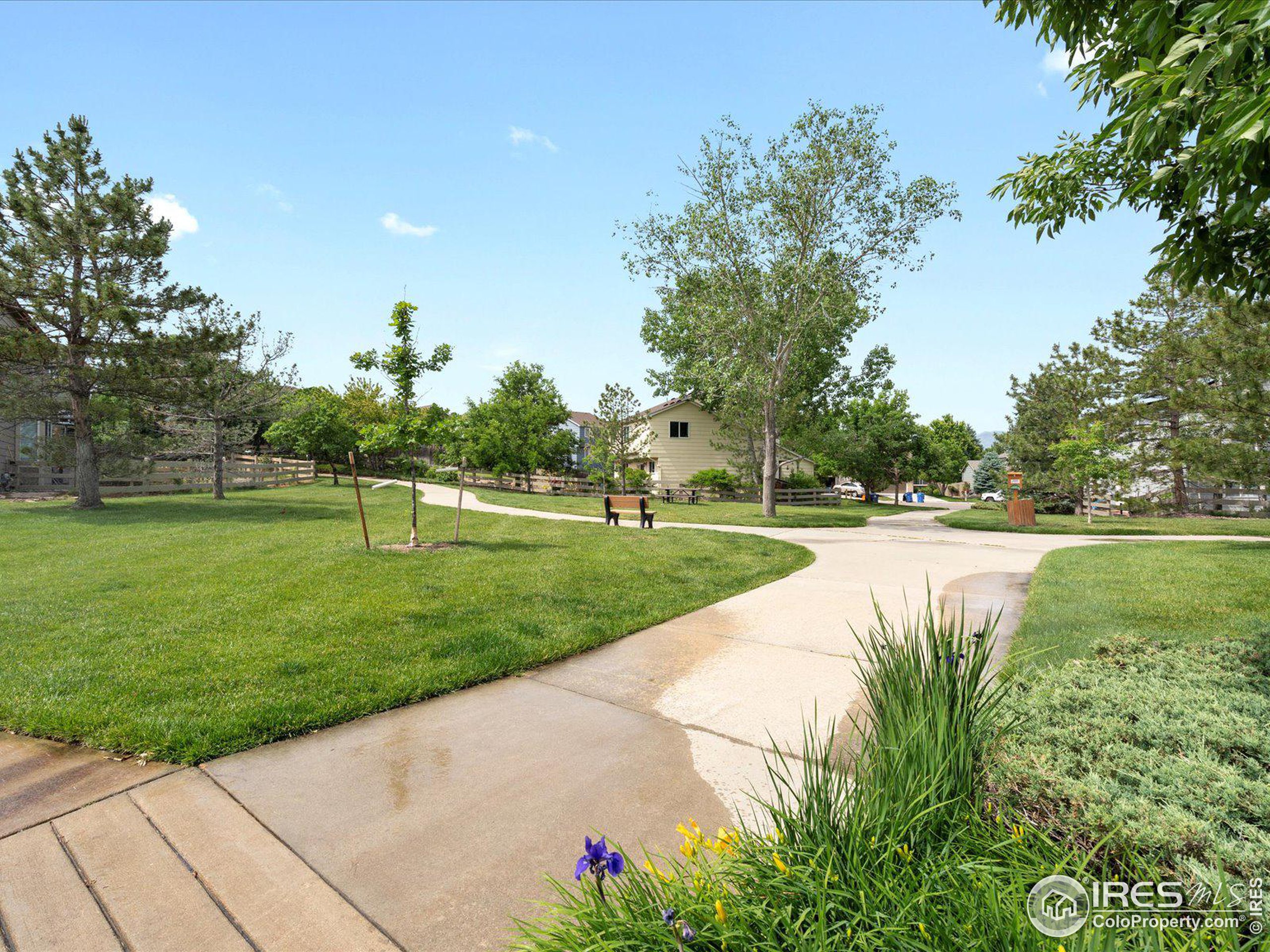 1459 Aster Ct