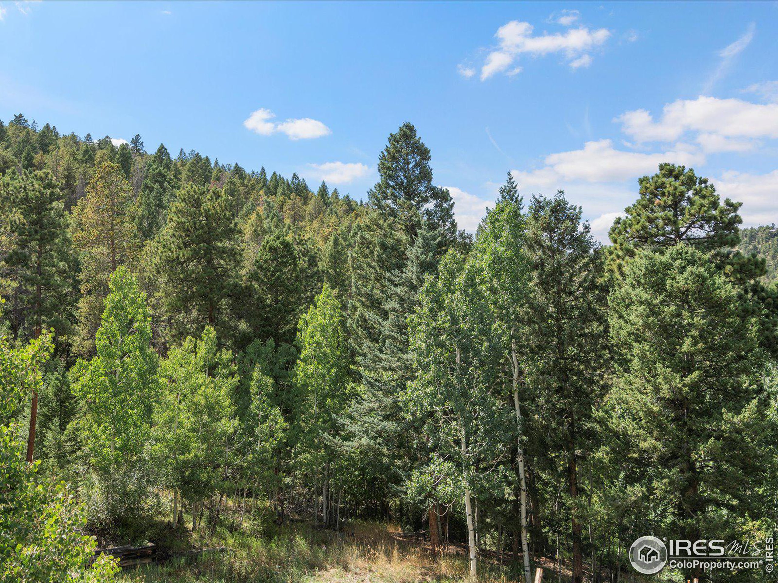 31851 Warrens Rd