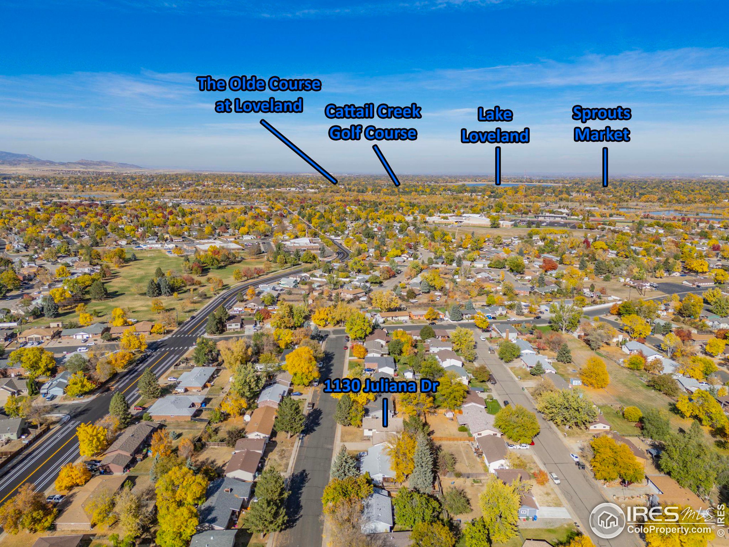 1130 Juliana Dr