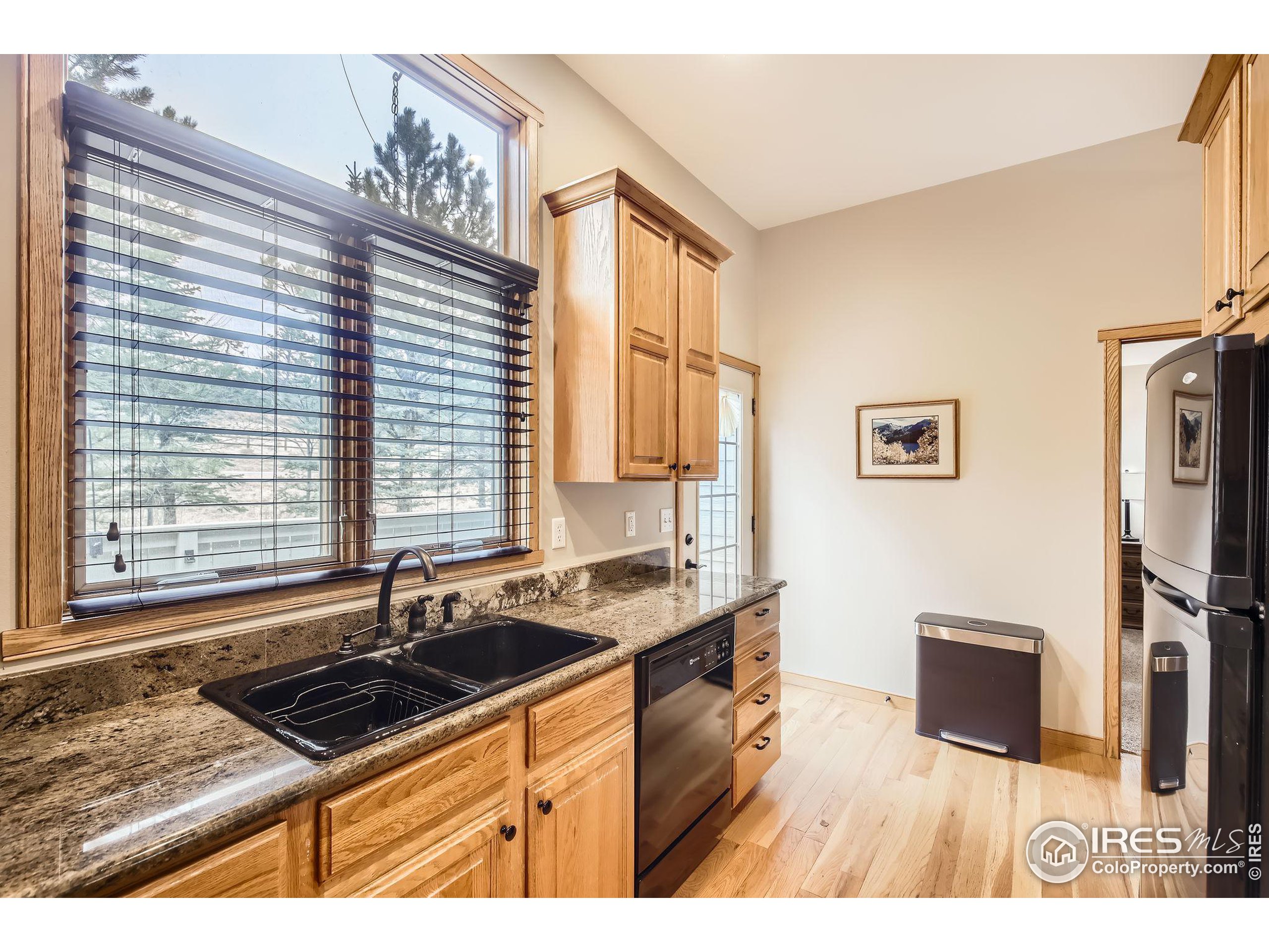 609 Park River Pl