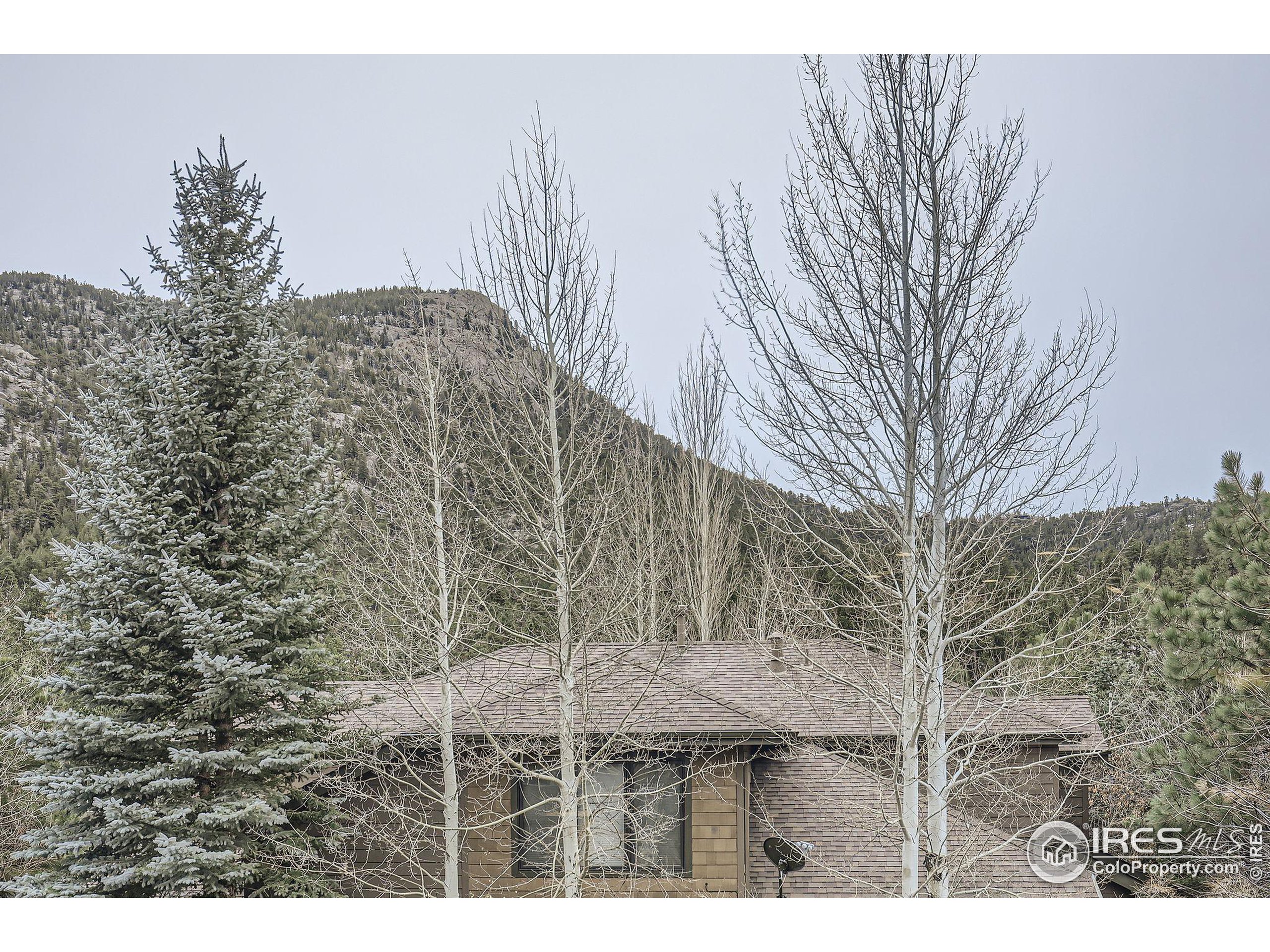 609 Park River Pl