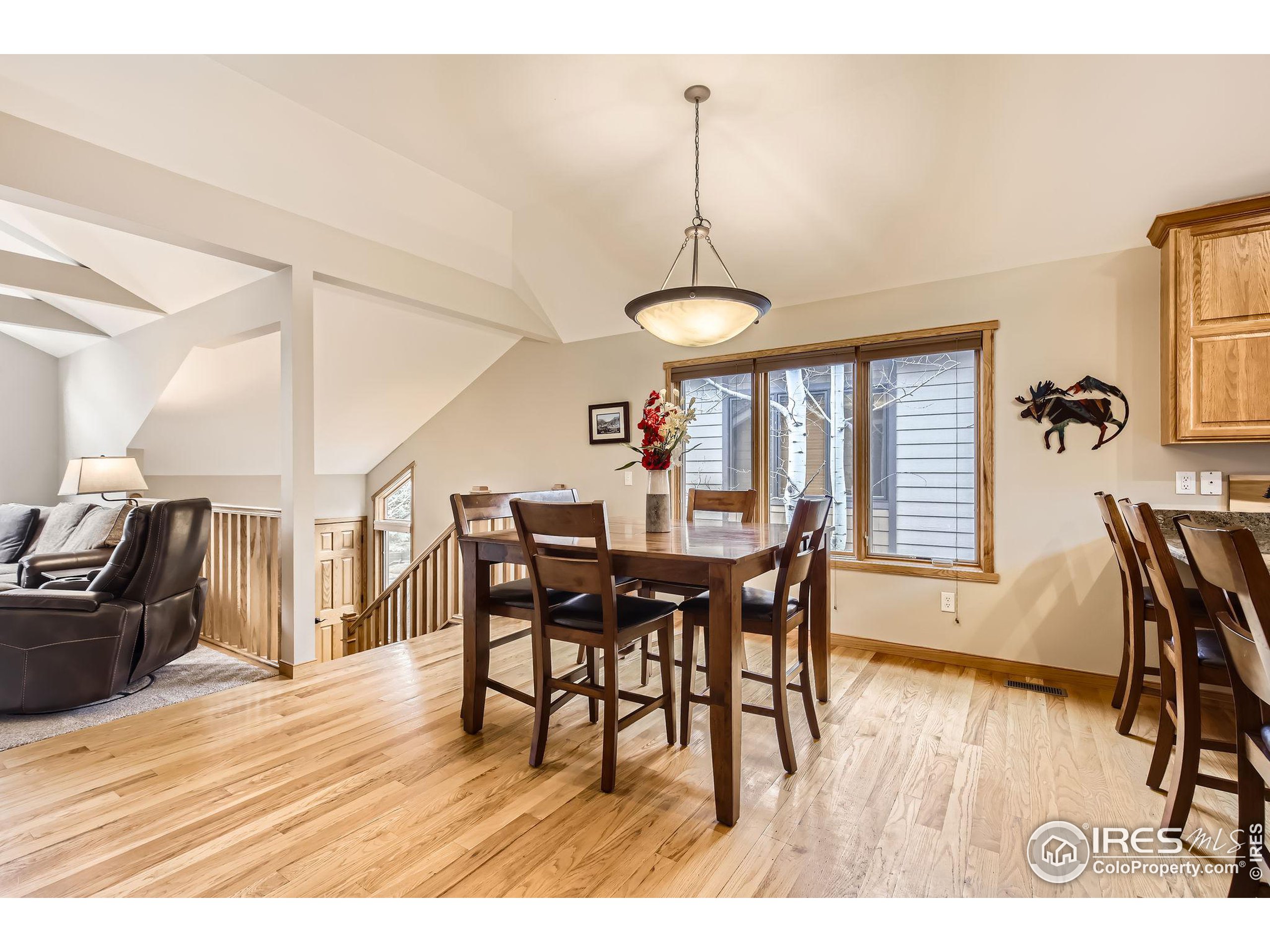 609 Park River Pl
