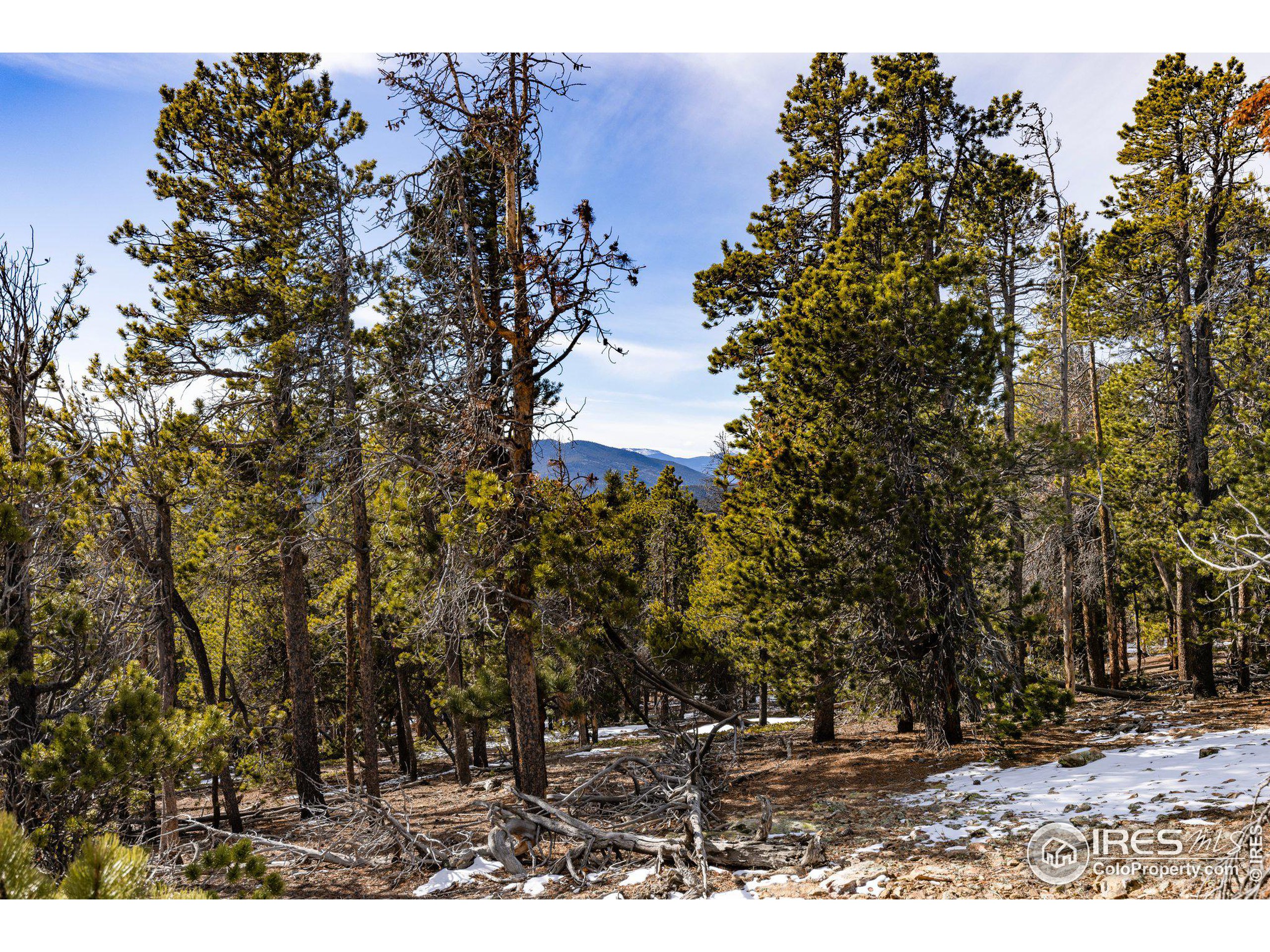 33768 Lyttle Dowdle Dr