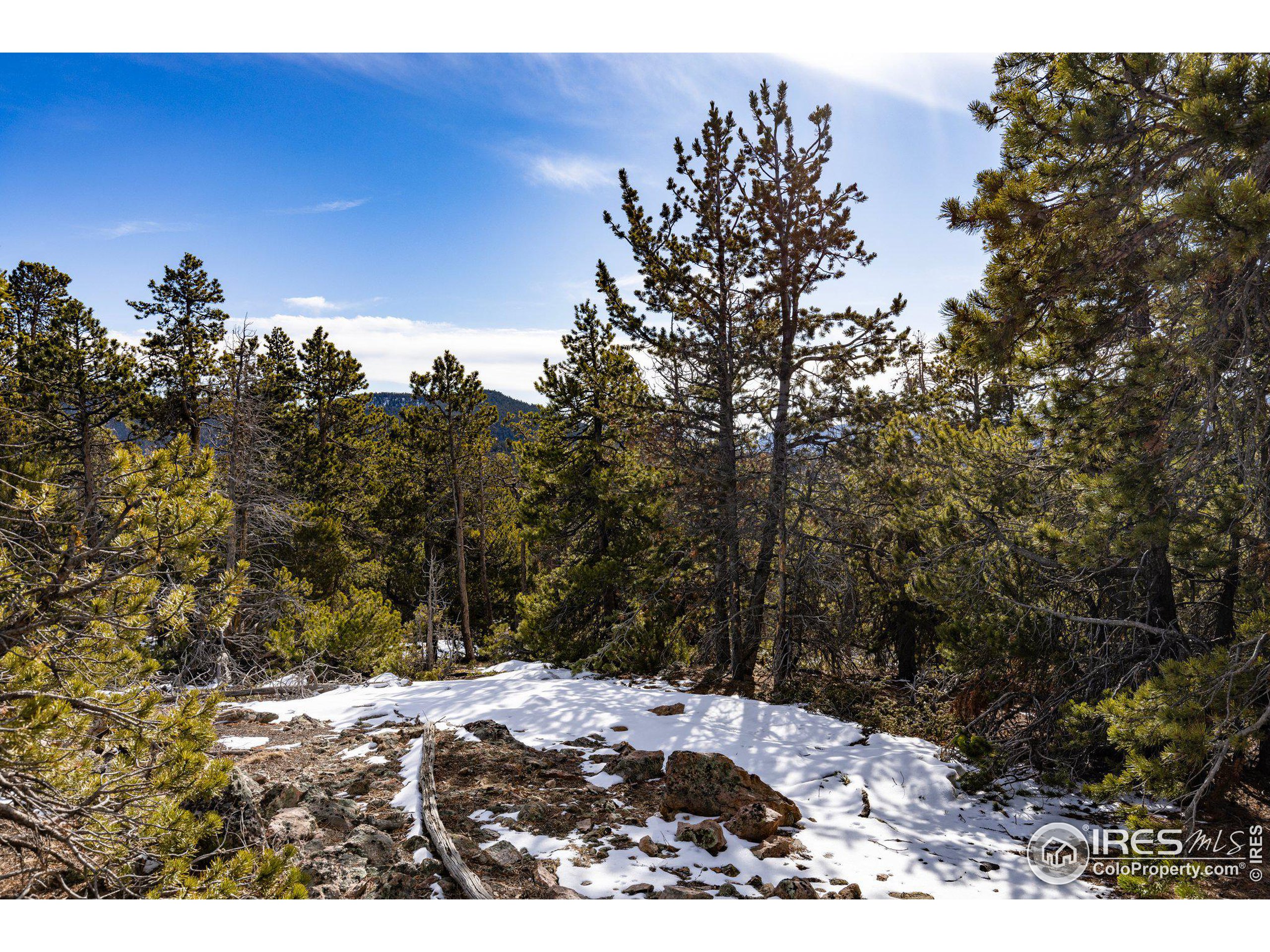 33768 Lyttle Dowdle Dr