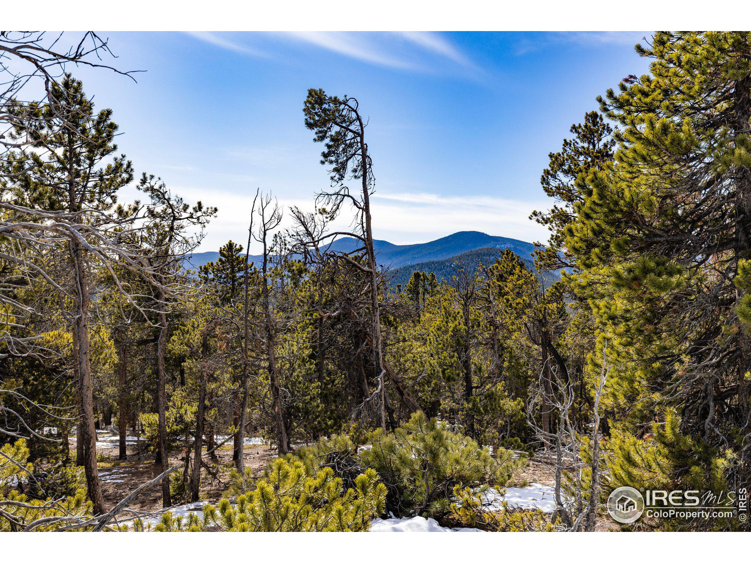 33768 Lyttle Dowdle Dr