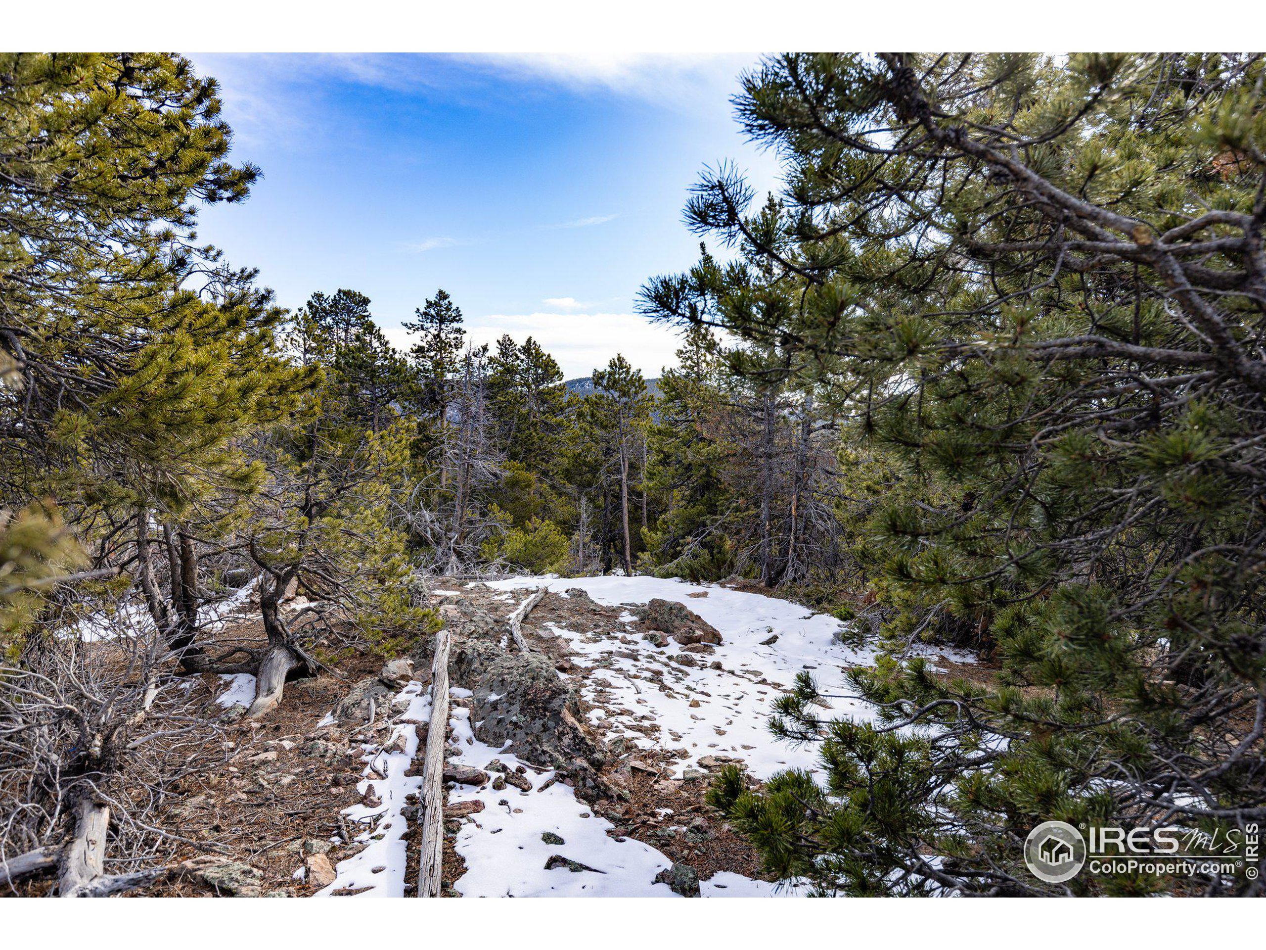 33768 Lyttle Dowdle Dr