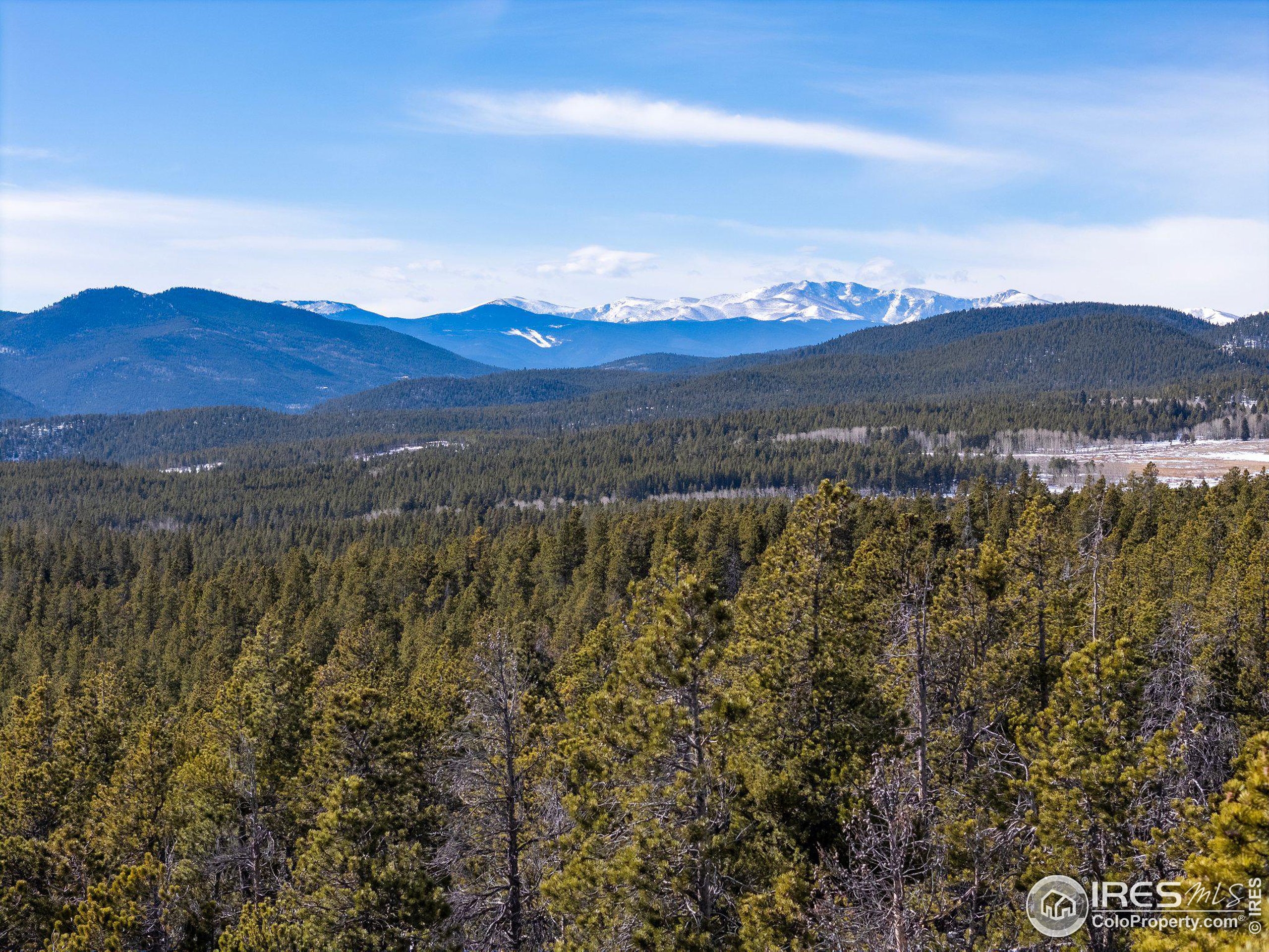 33768 Lyttle Dowdle Dr