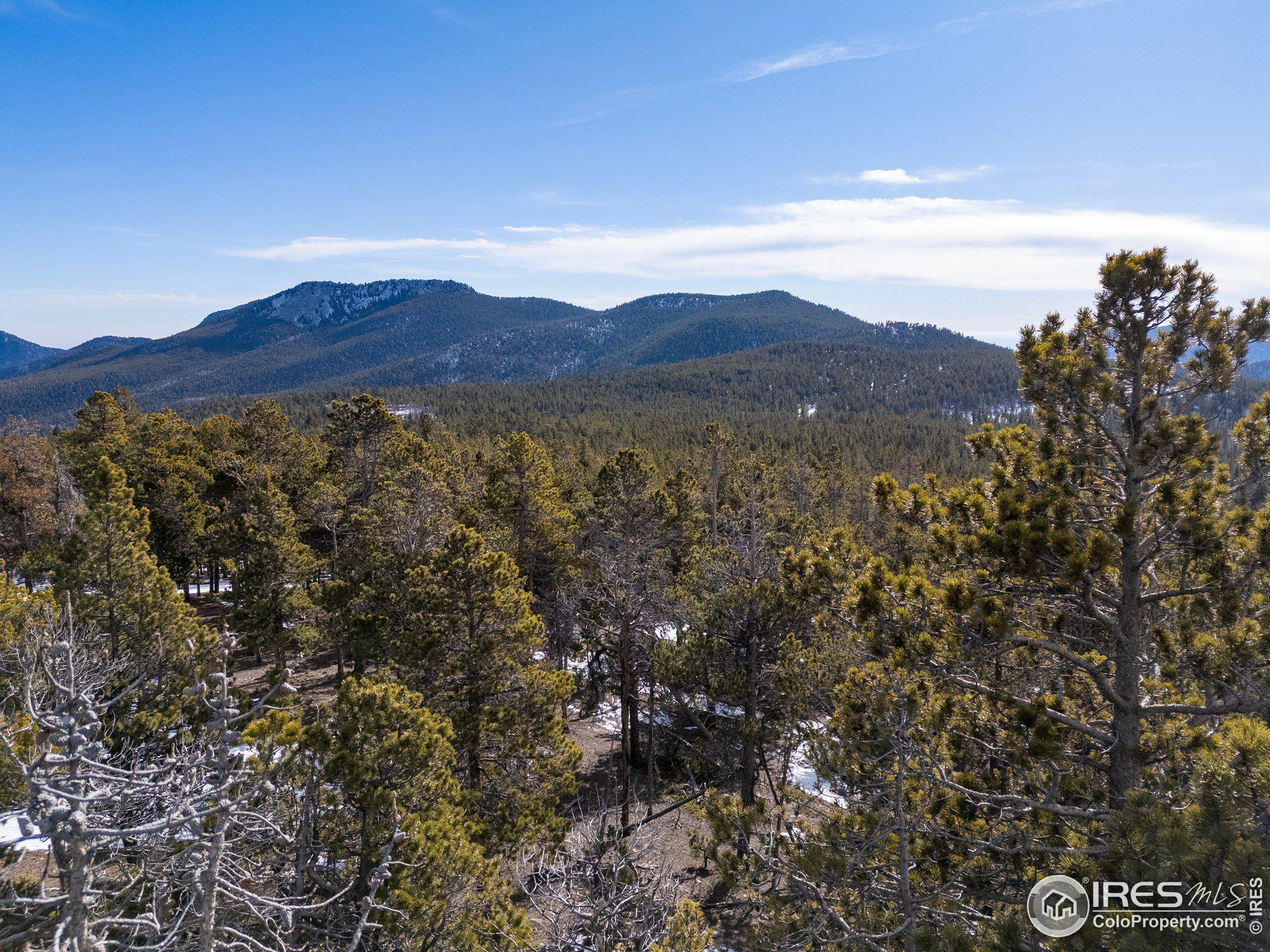 33768 Lyttle Dowdle Dr