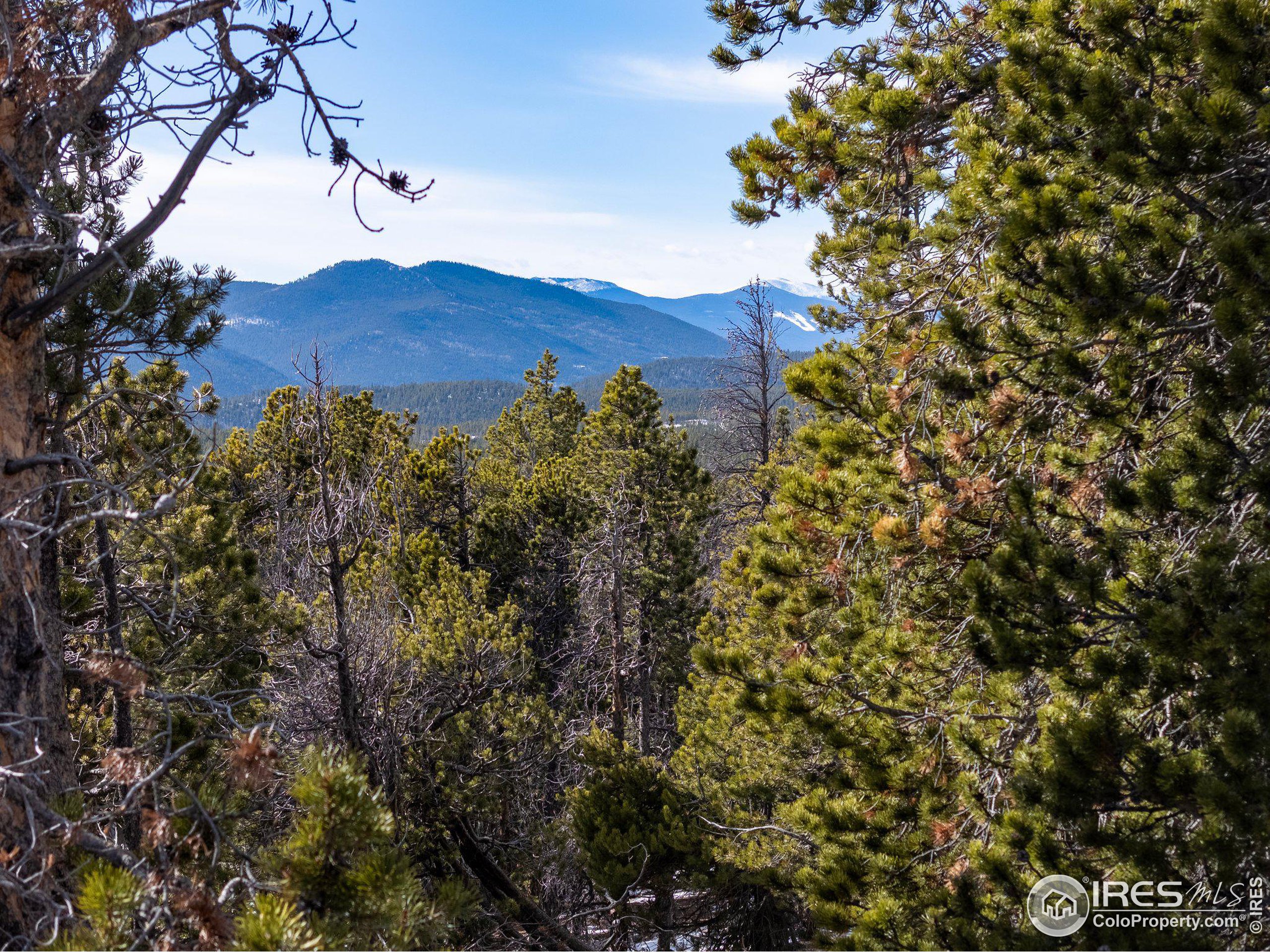 33768 Lyttle Dowdle Dr