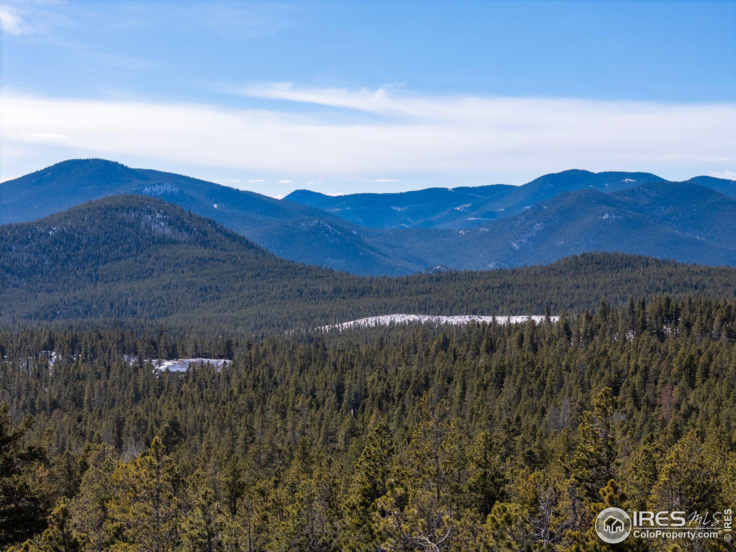 33768 Lyttle Dowdle Dr