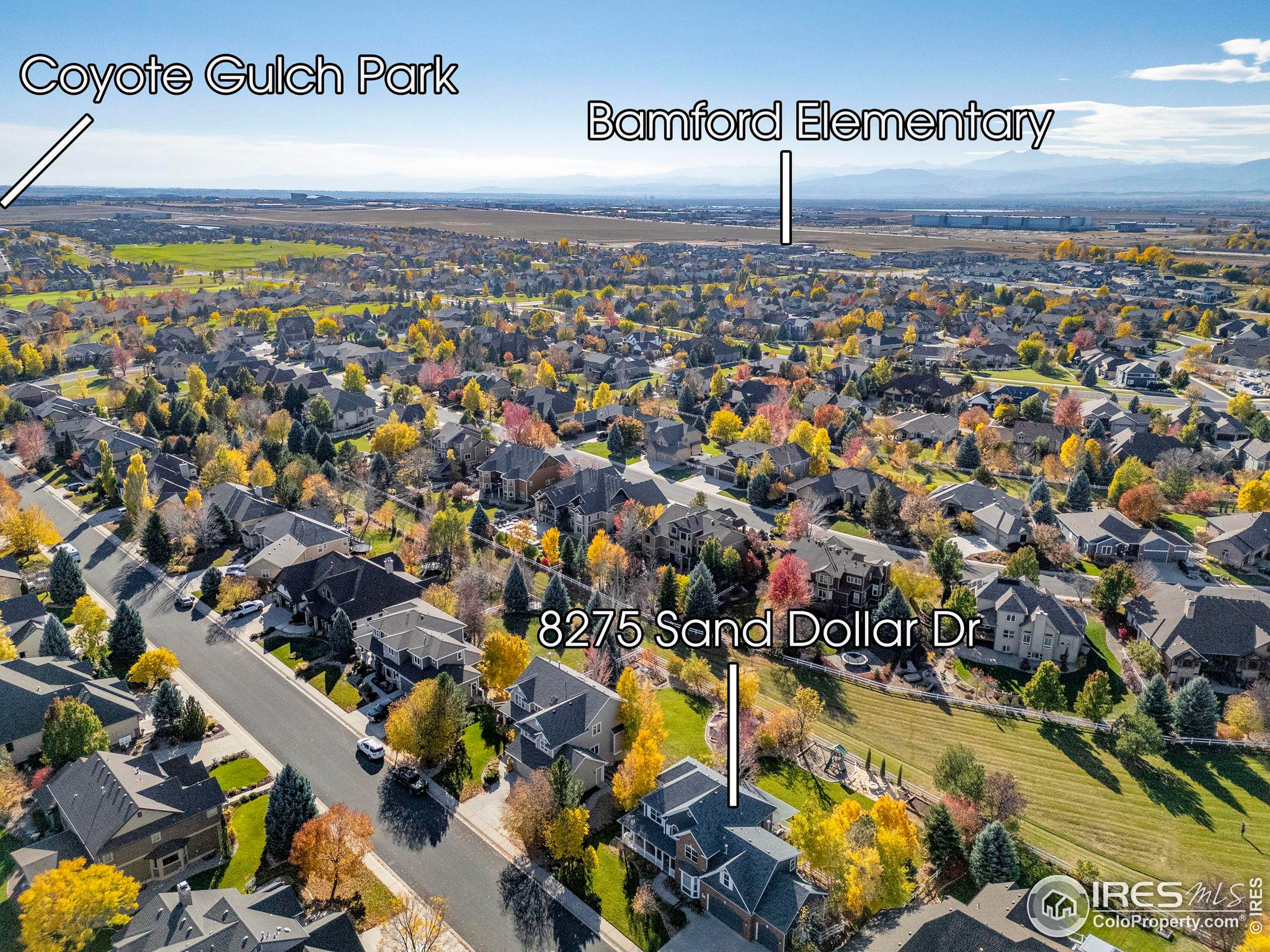 8275 Sand Dollar Dr