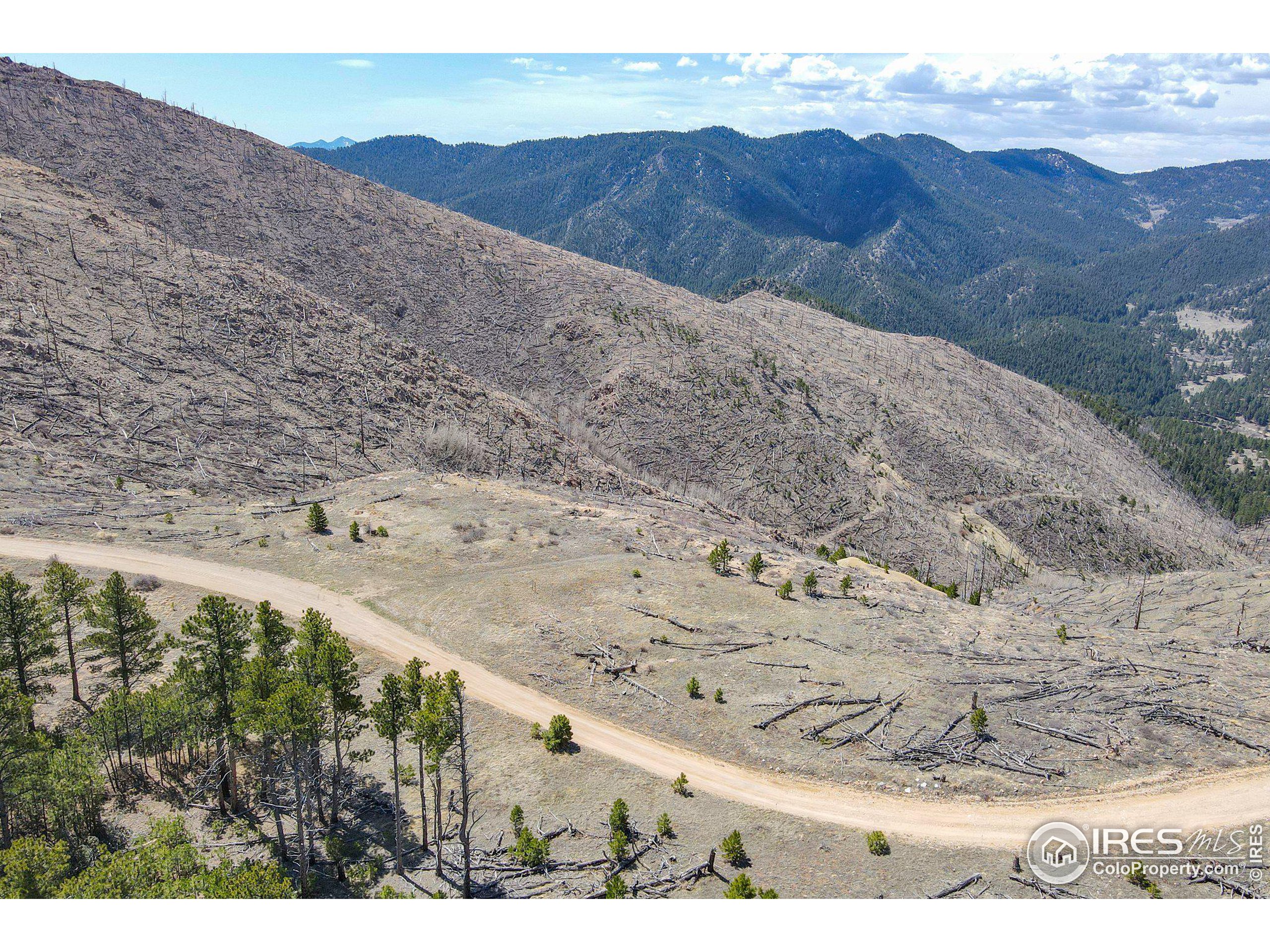 1012 County Road 87j