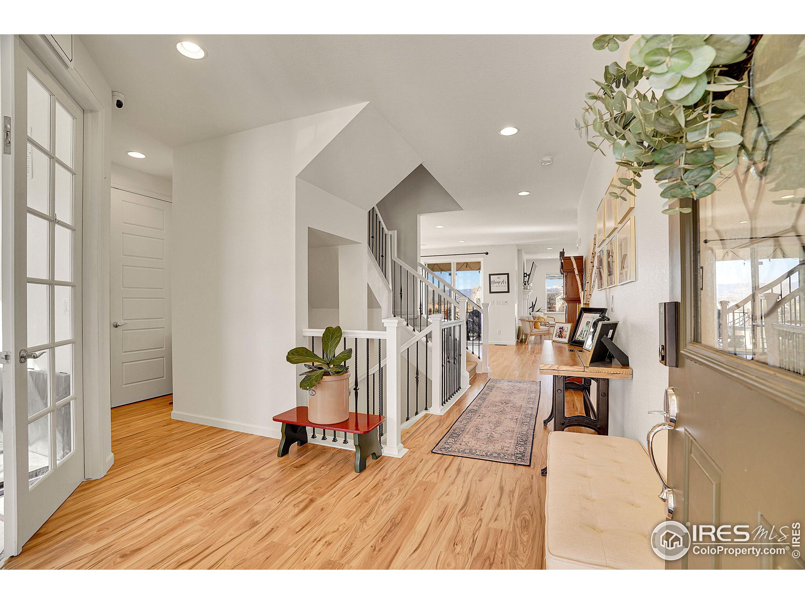 2455 Buffalo Mountain Ct