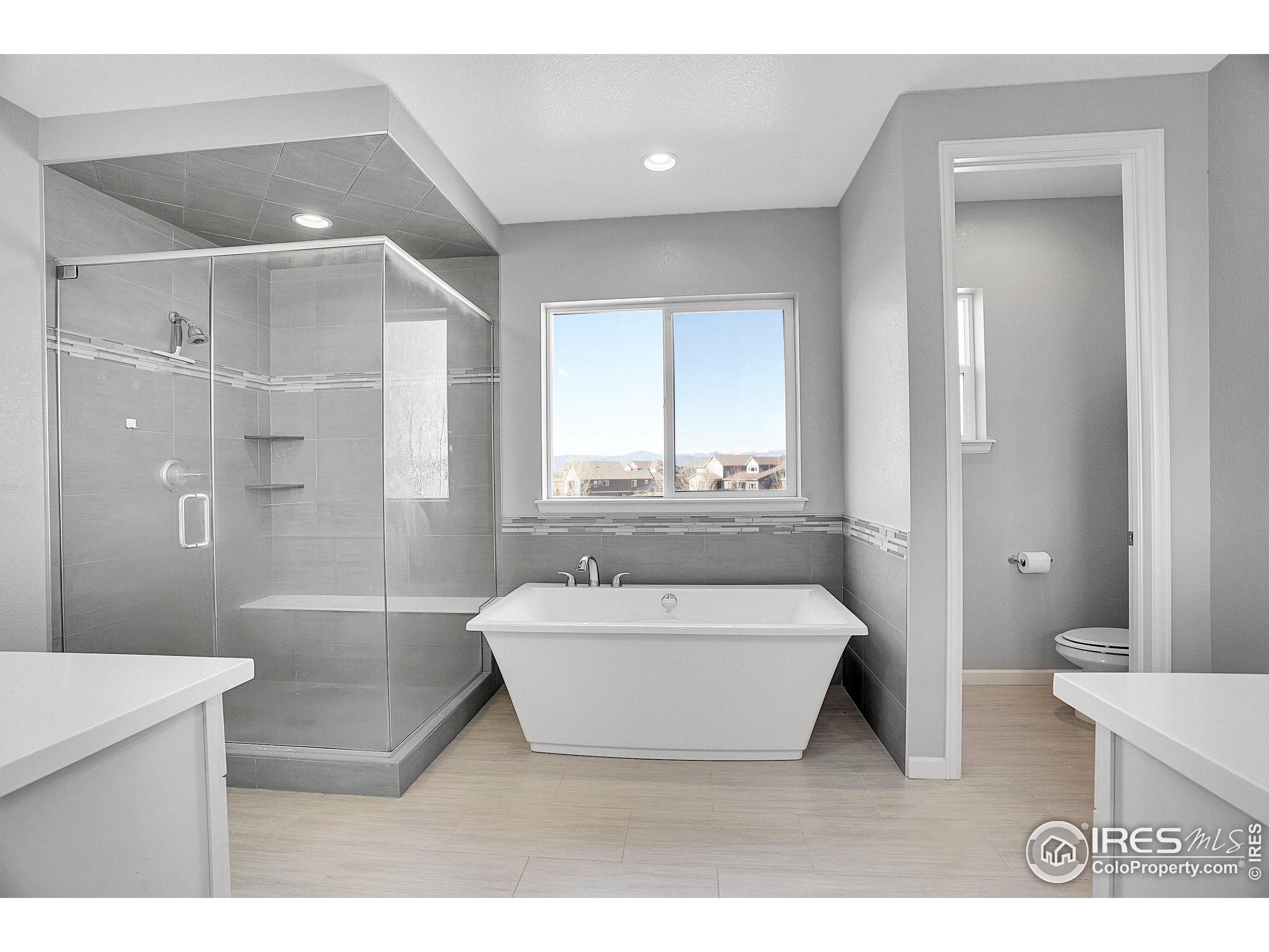 2455 Buffalo Mountain Ct