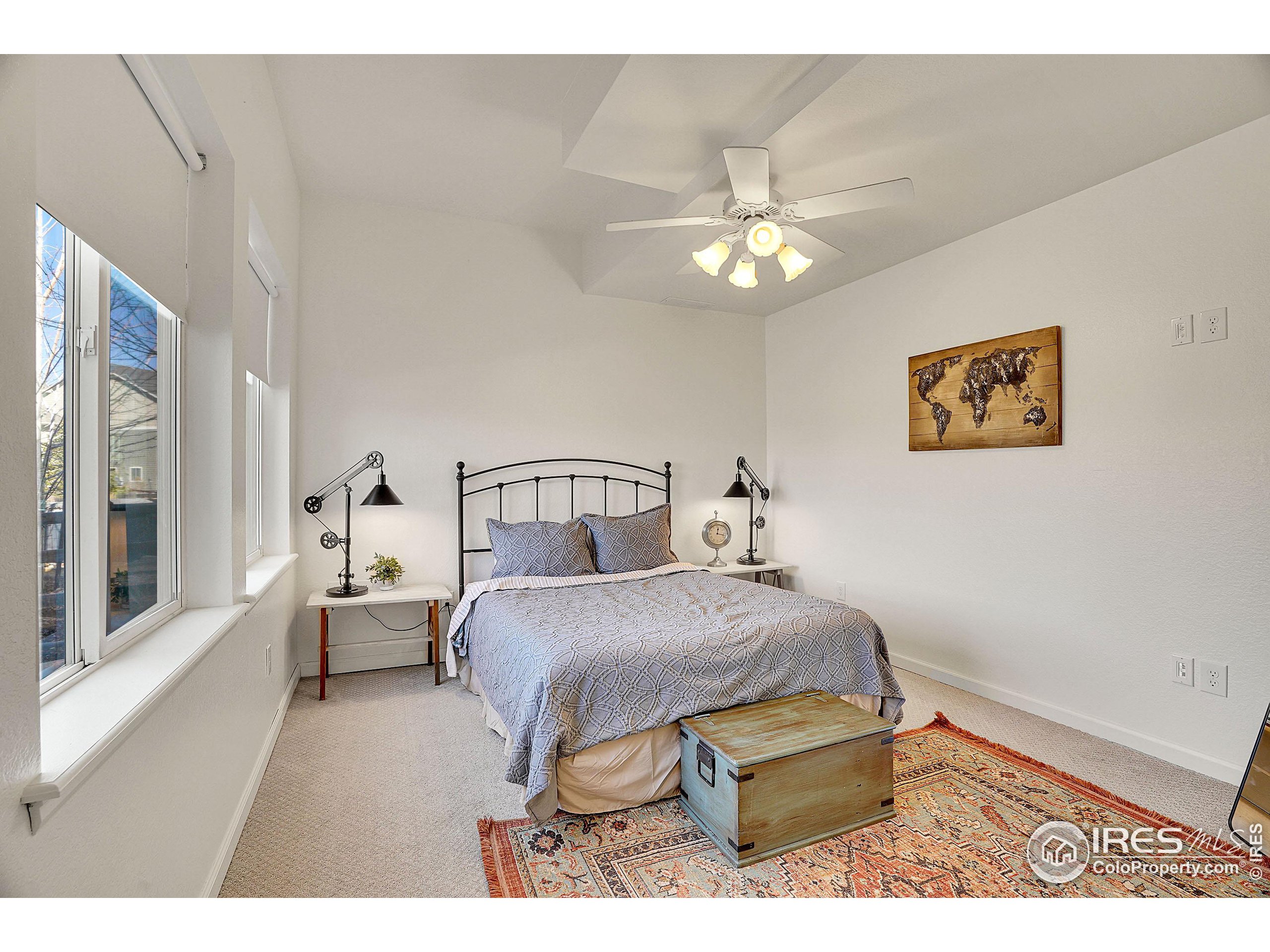 2455 Buffalo Mountain Ct