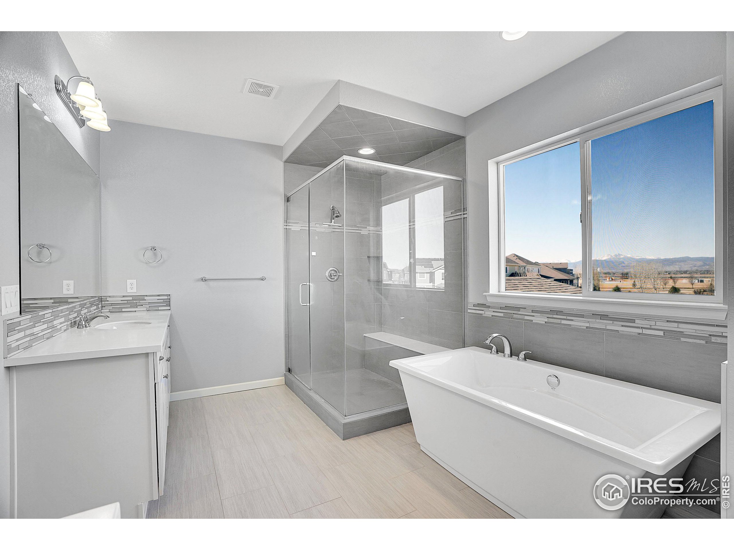 2455 Buffalo Mountain Ct