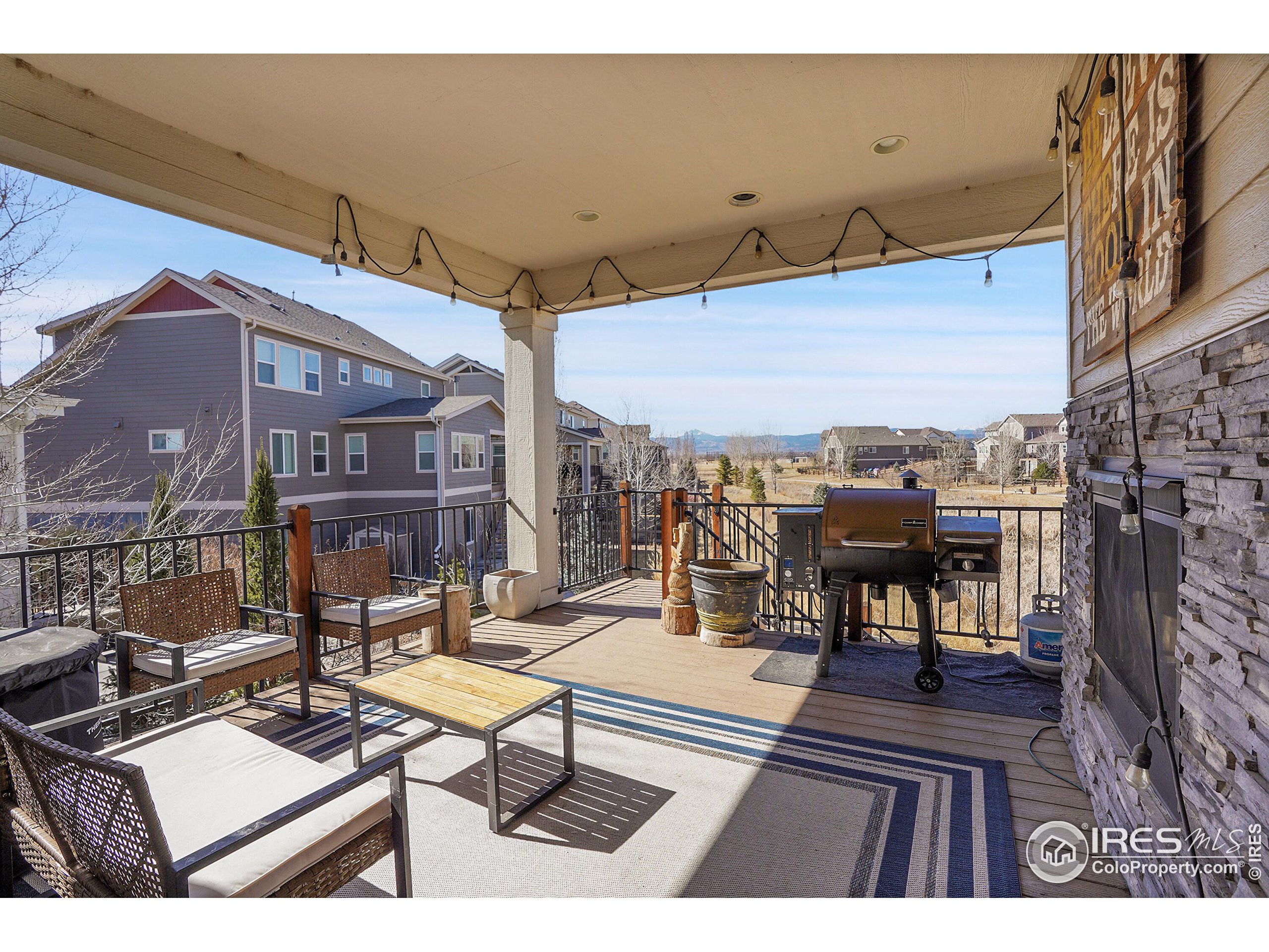 2455 Buffalo Mountain Ct