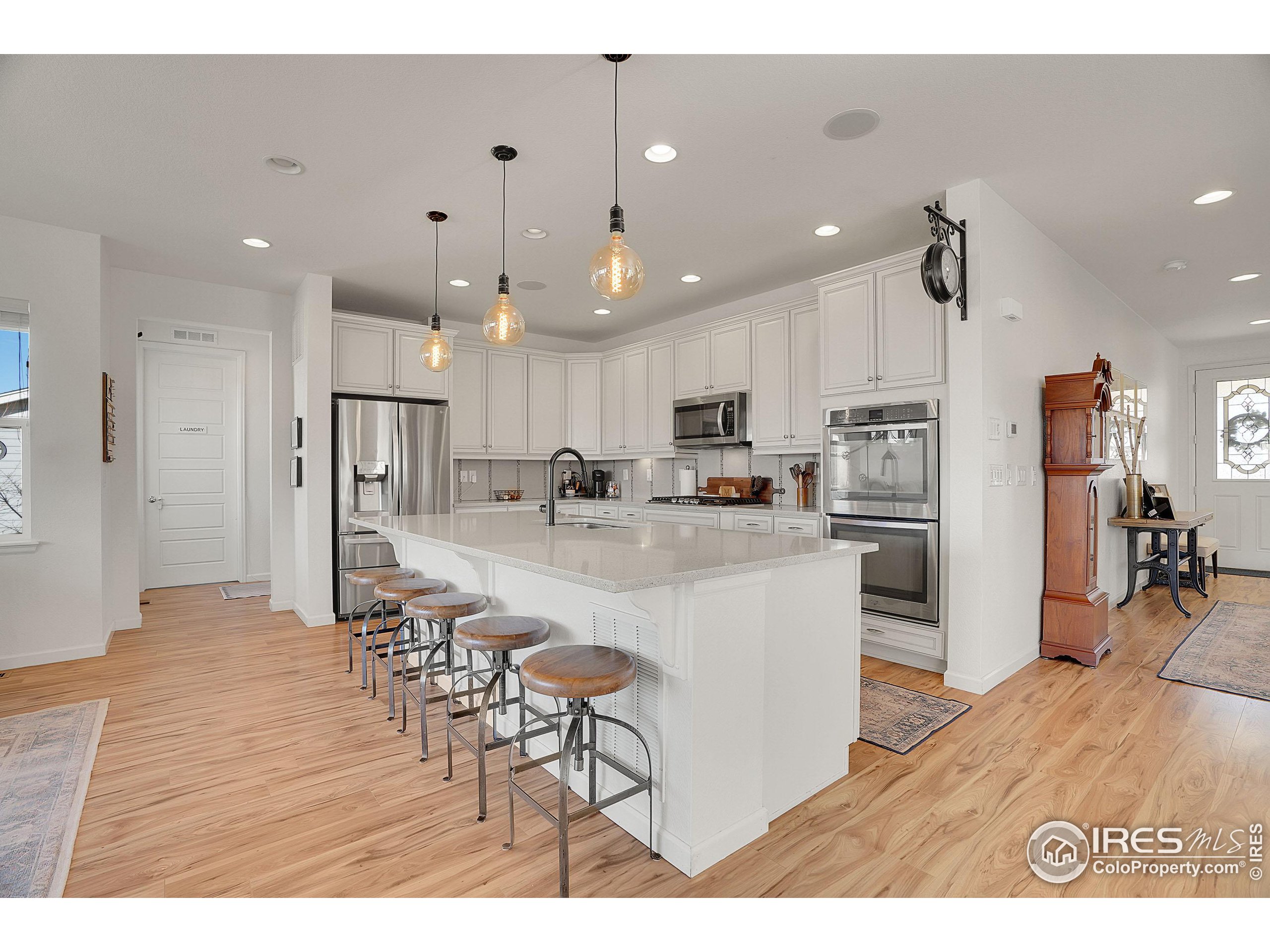 2455 Buffalo Mountain Ct