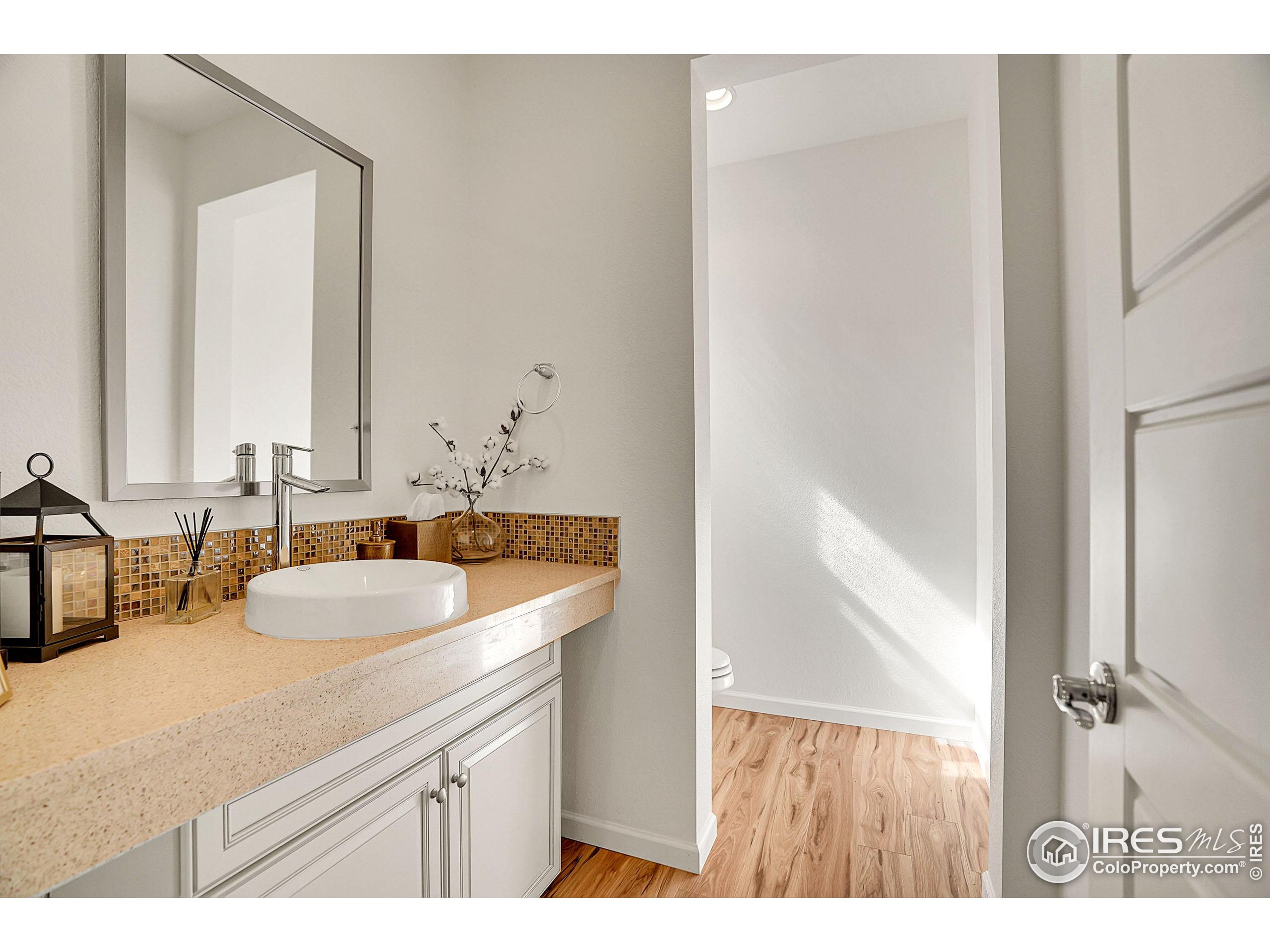 2455 Buffalo Mountain Ct