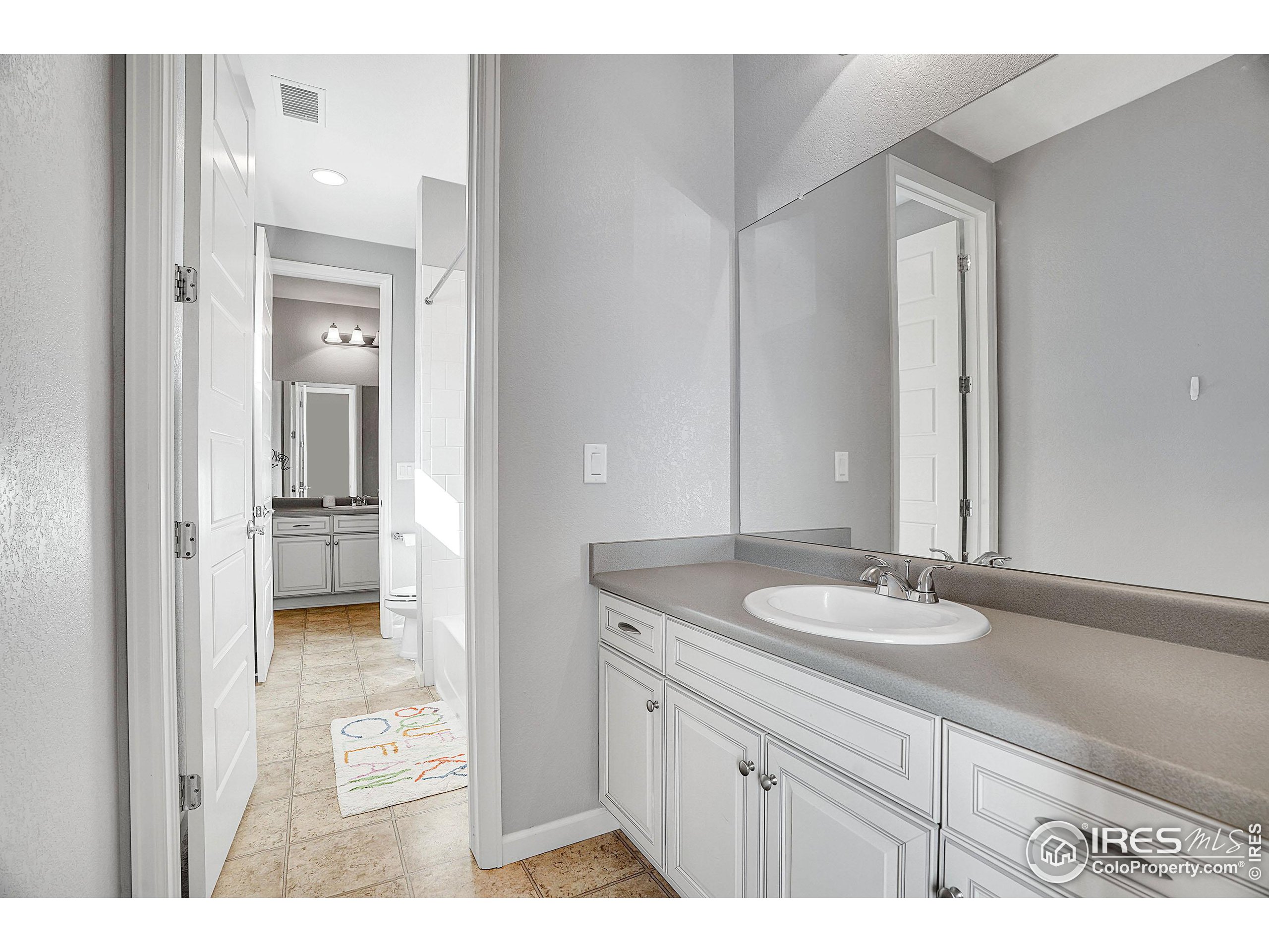 2455 Buffalo Mountain Ct
