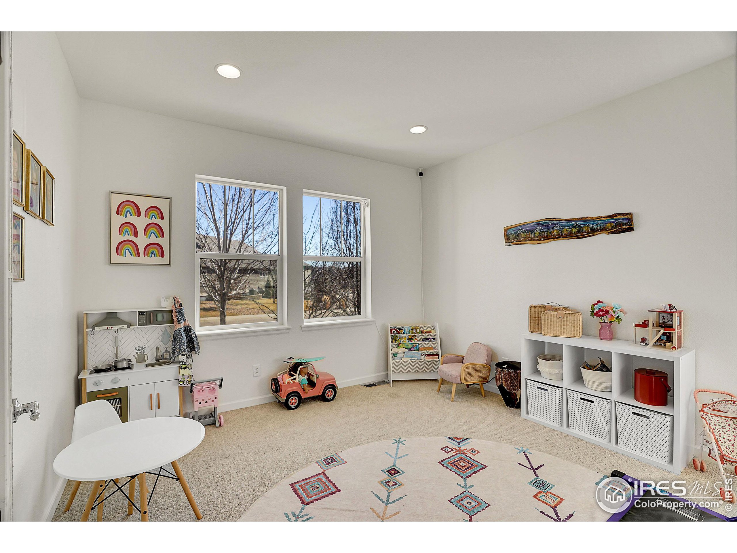 2455 Buffalo Mountain Ct