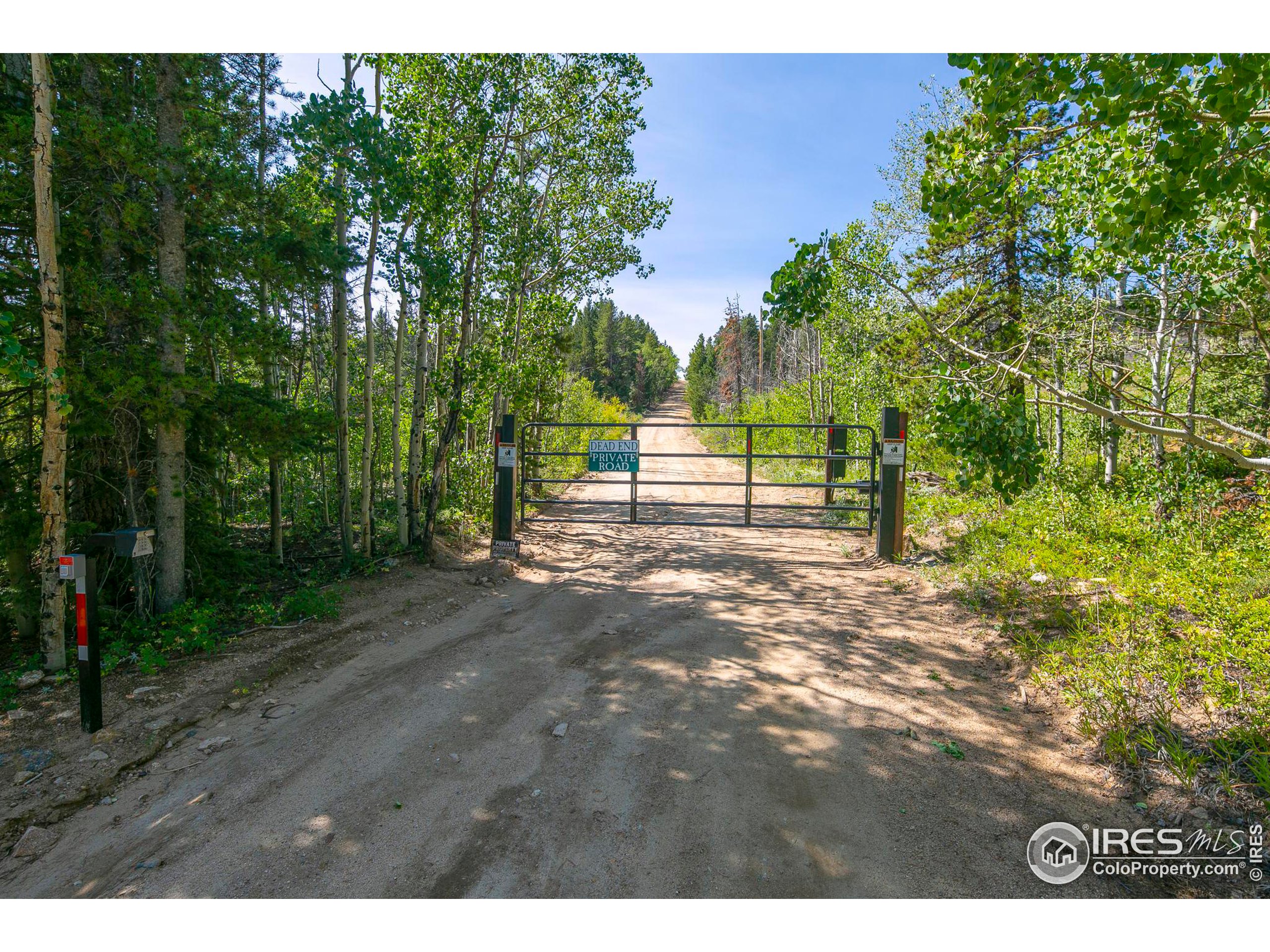 1445 Ridge Rd