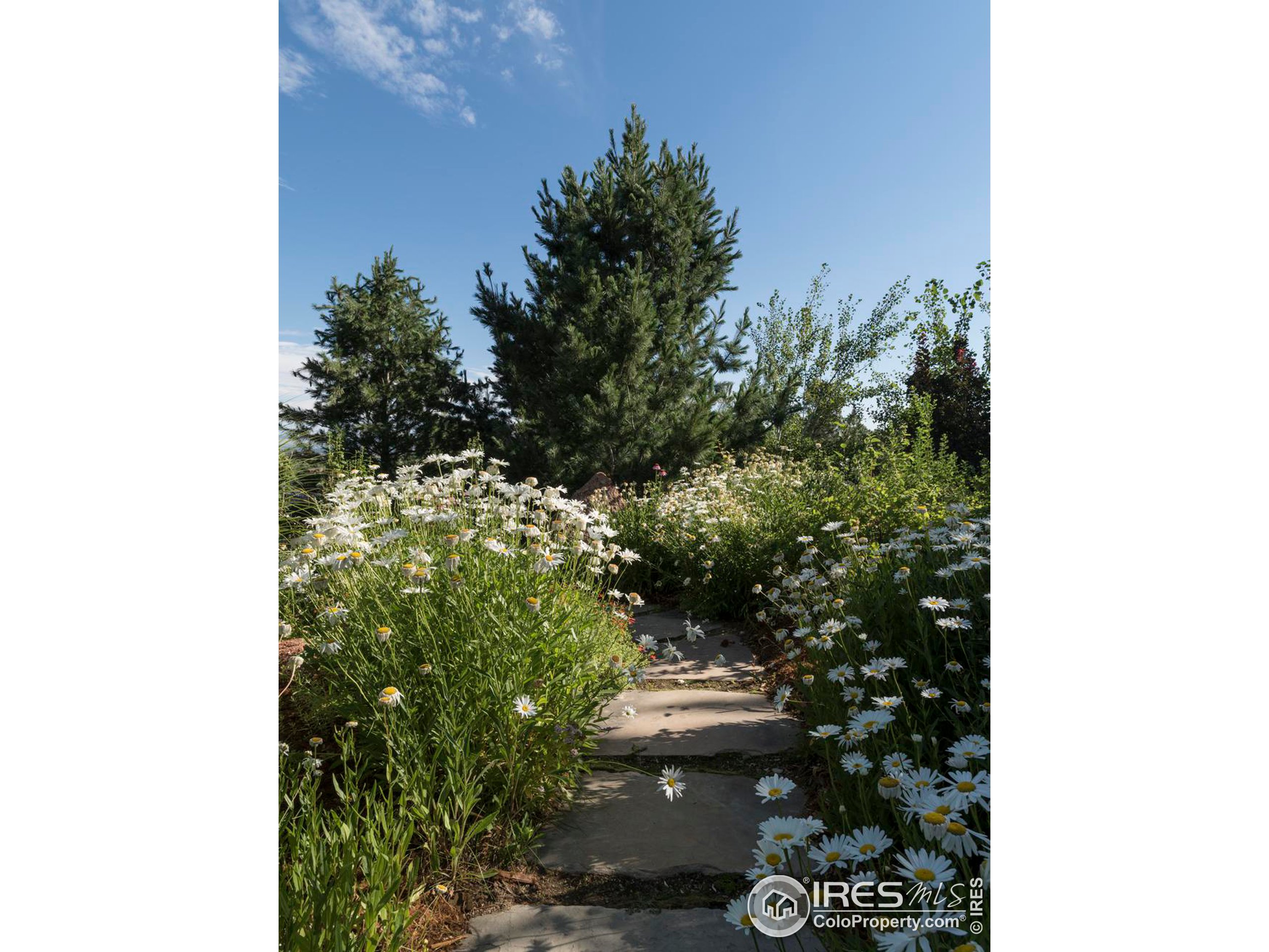 7579 Panorama Dr