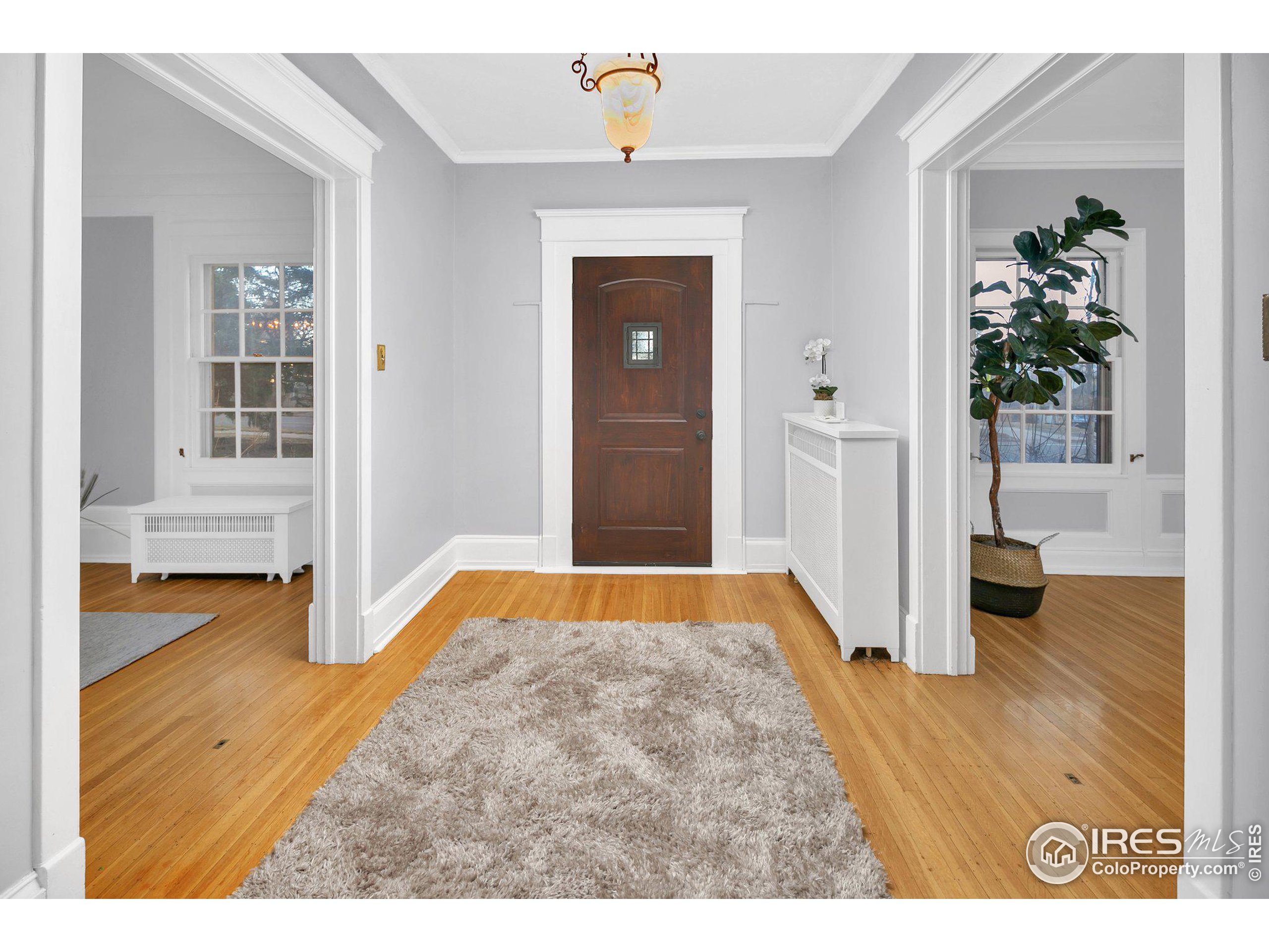 1126 3rd Ave