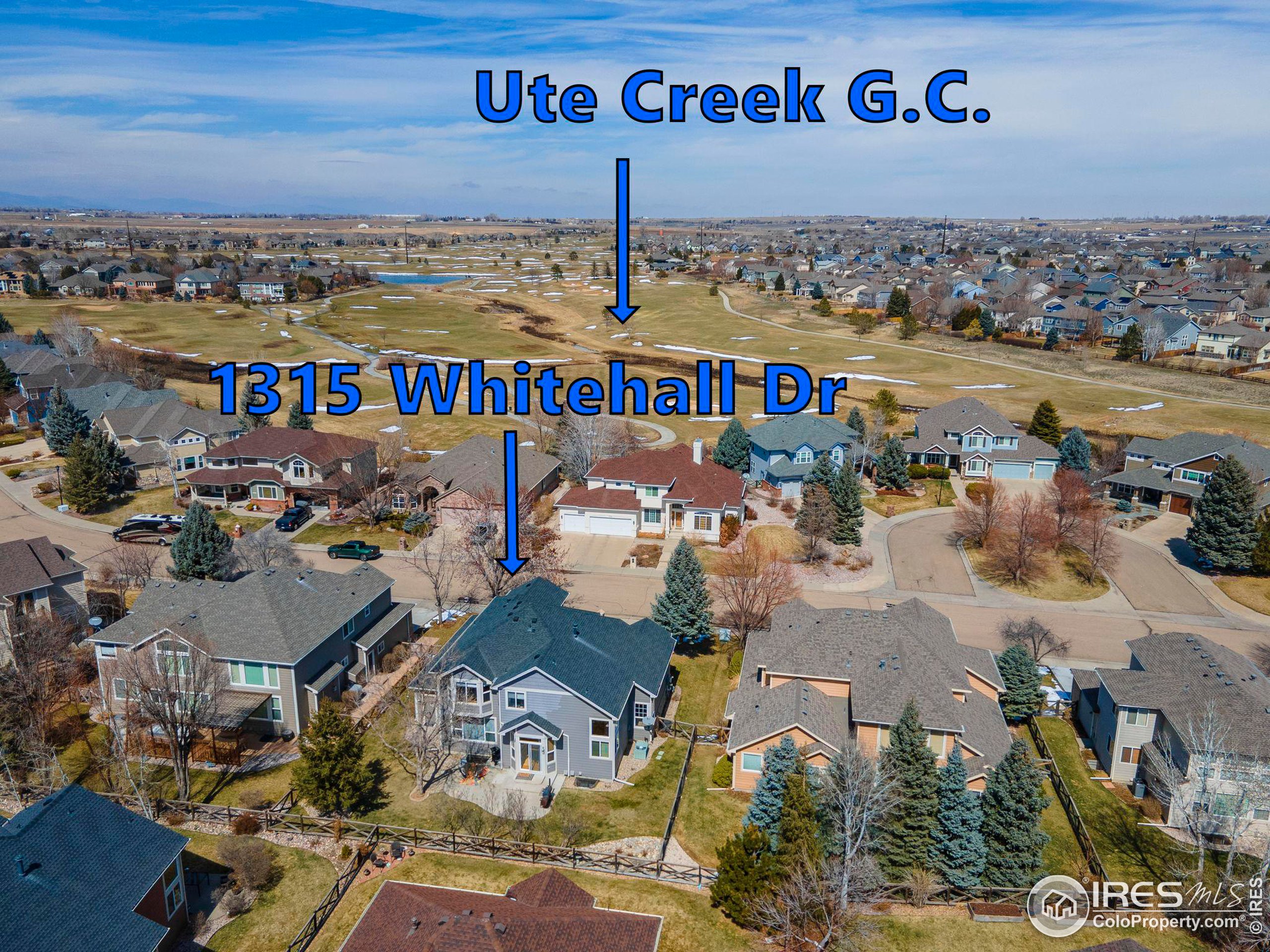 1315 Whitehall Dr
