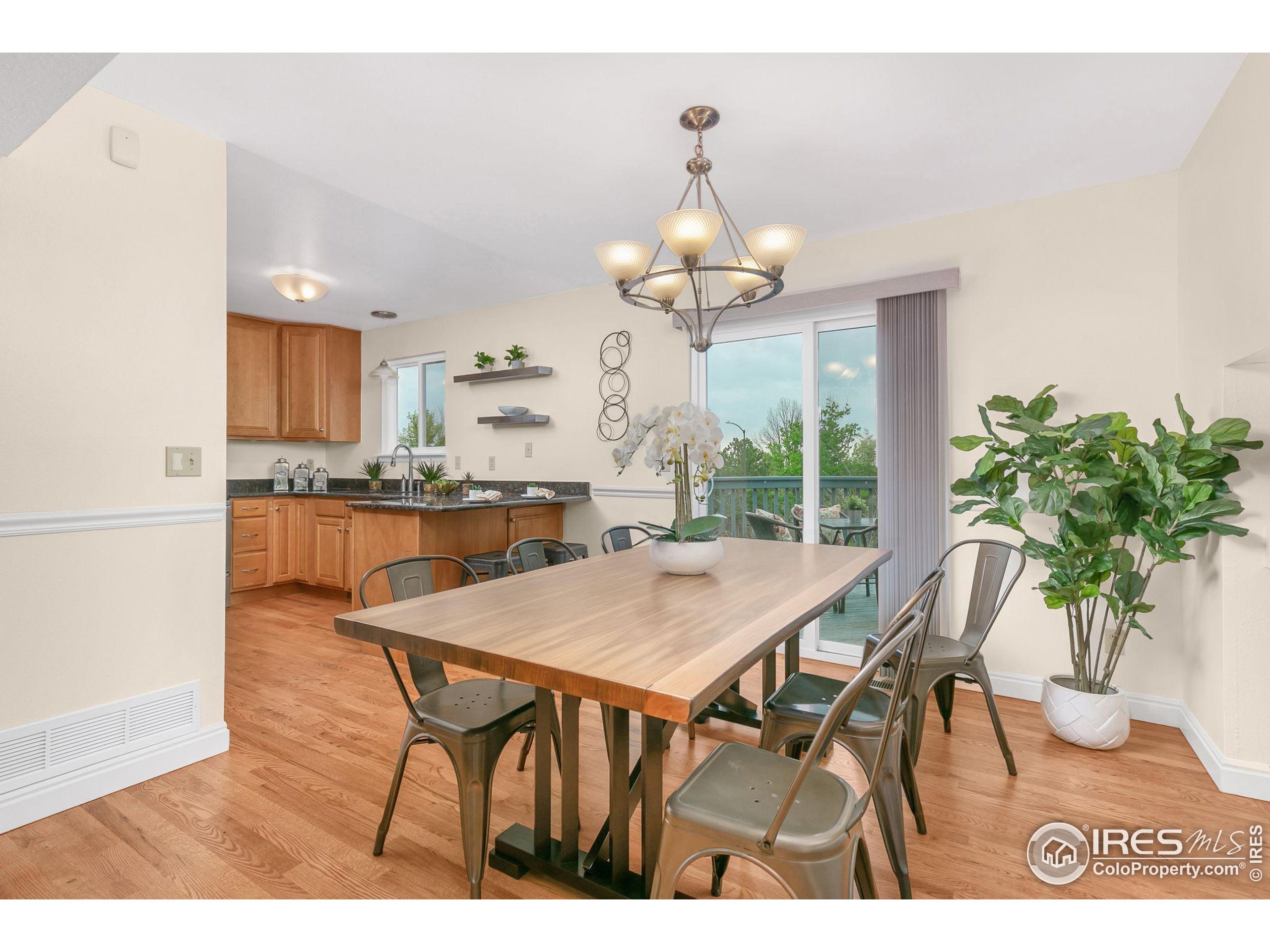 534 W Cactus Ct
