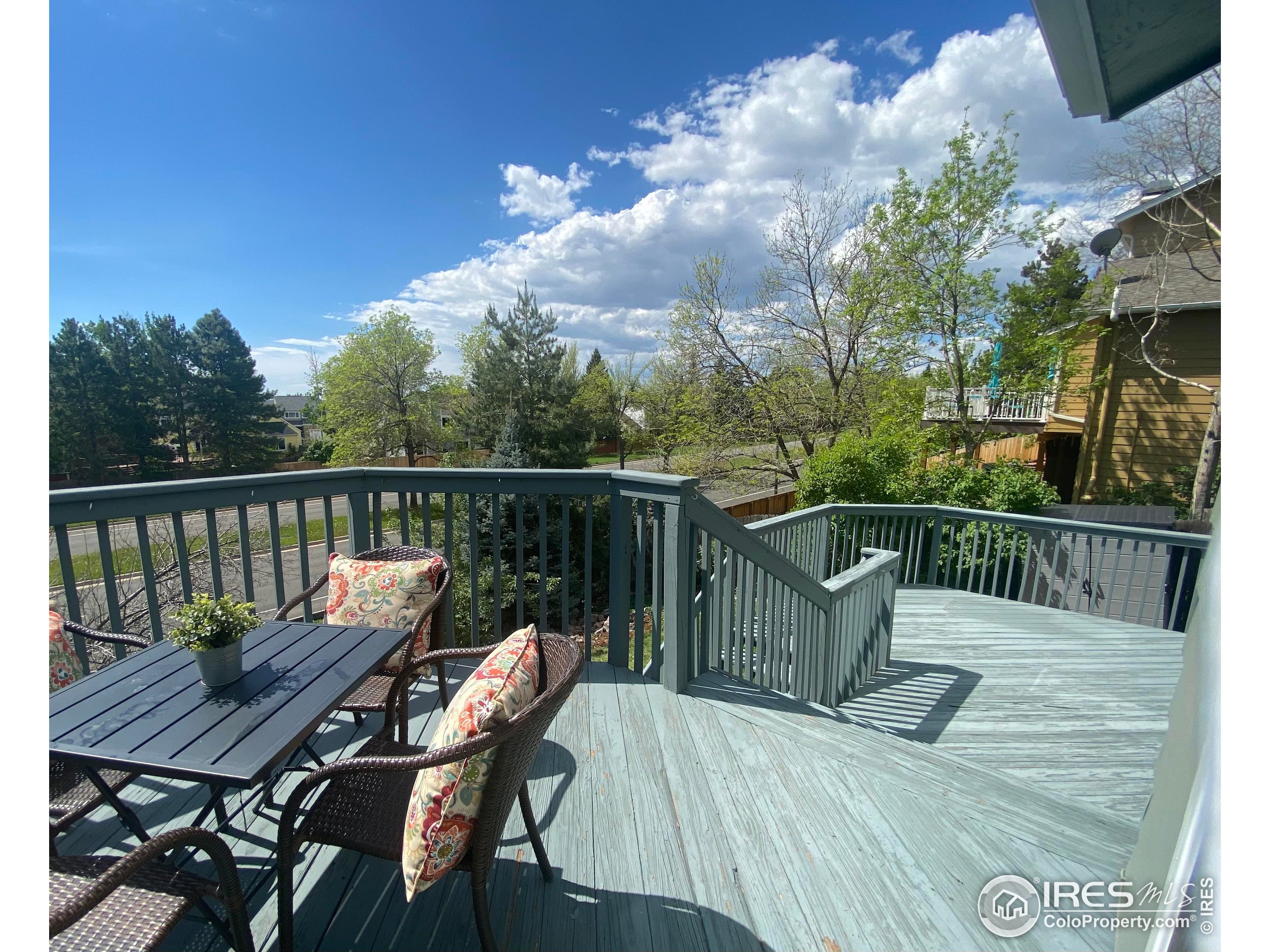 534 W Cactus Ct