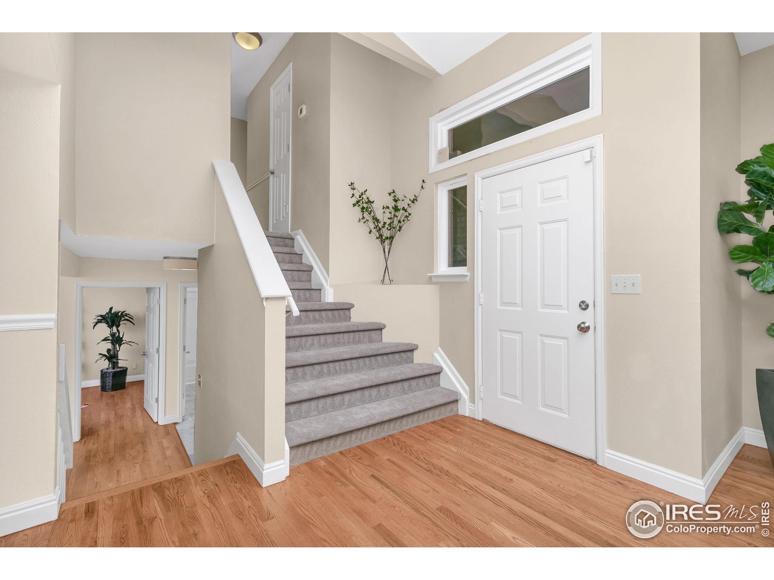 534 W Cactus Ct
