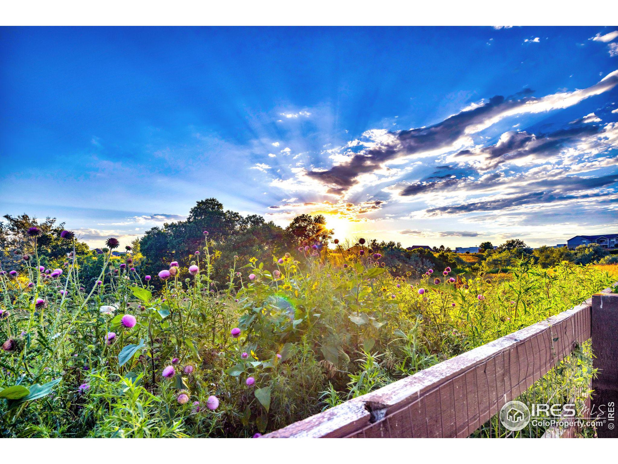 4348 Lemon Grass Dr