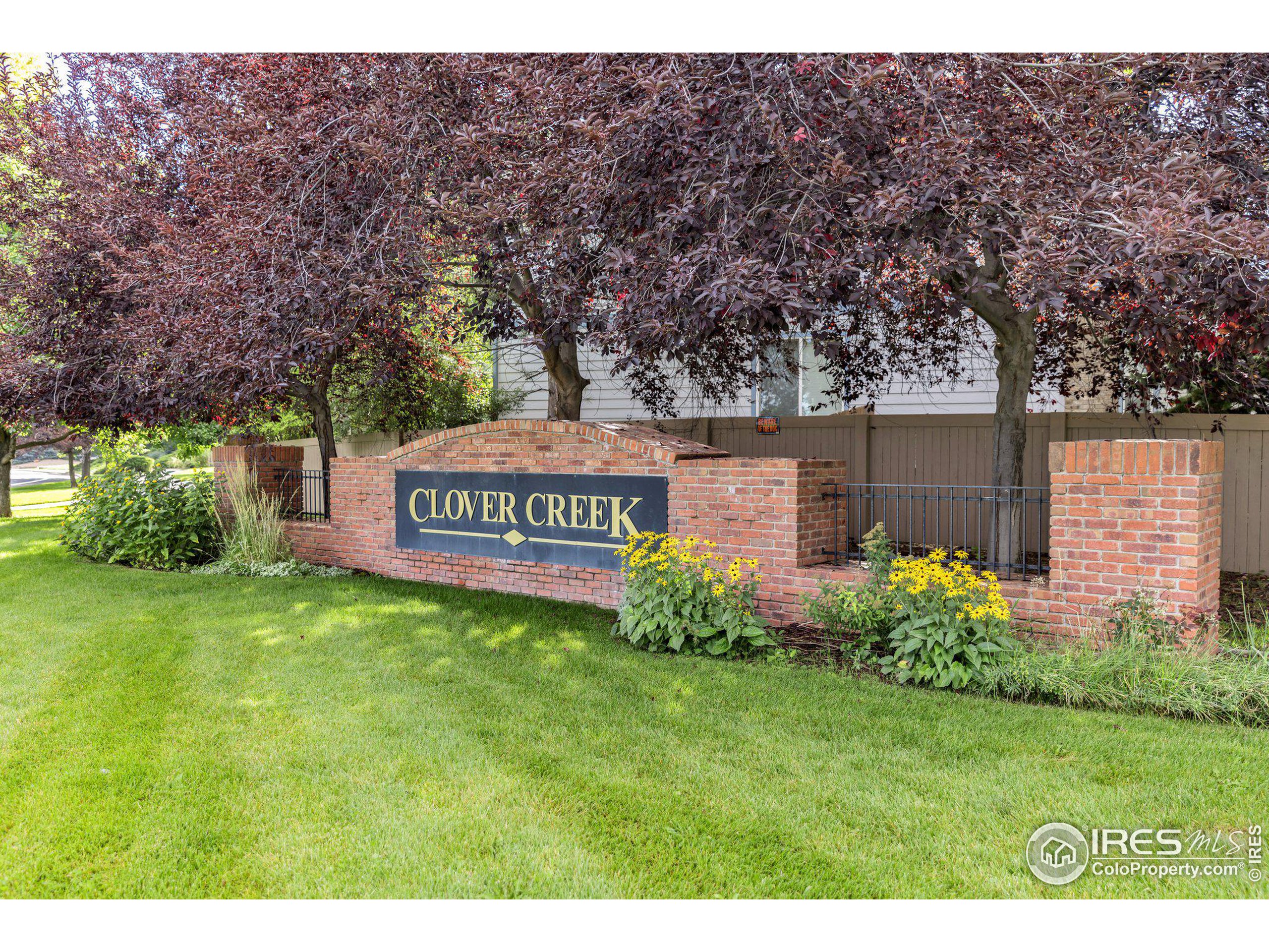 1313 Indian Paintbrush Ln