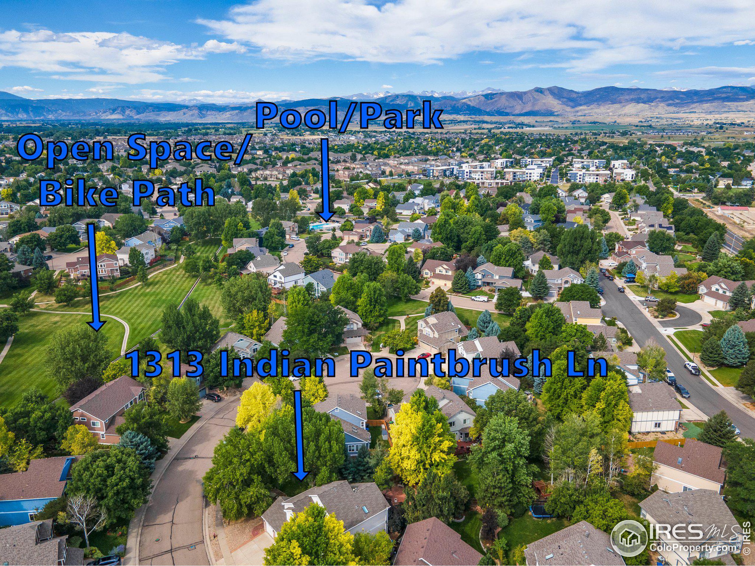 1313 Indian Paintbrush Ln