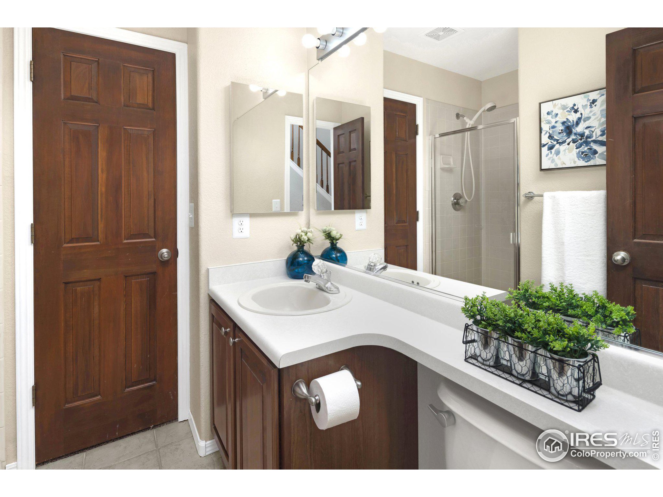 1313 Indian Paintbrush Ln