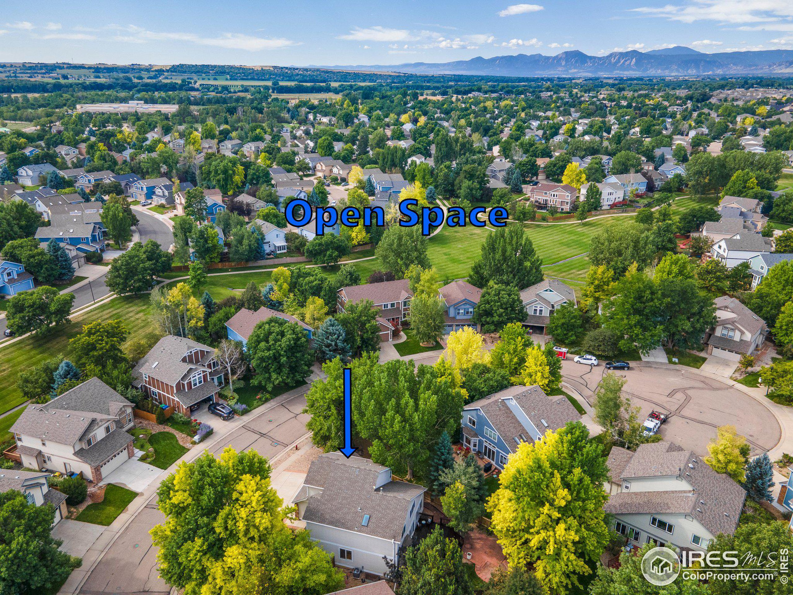 1313 Indian Paintbrush Ln
