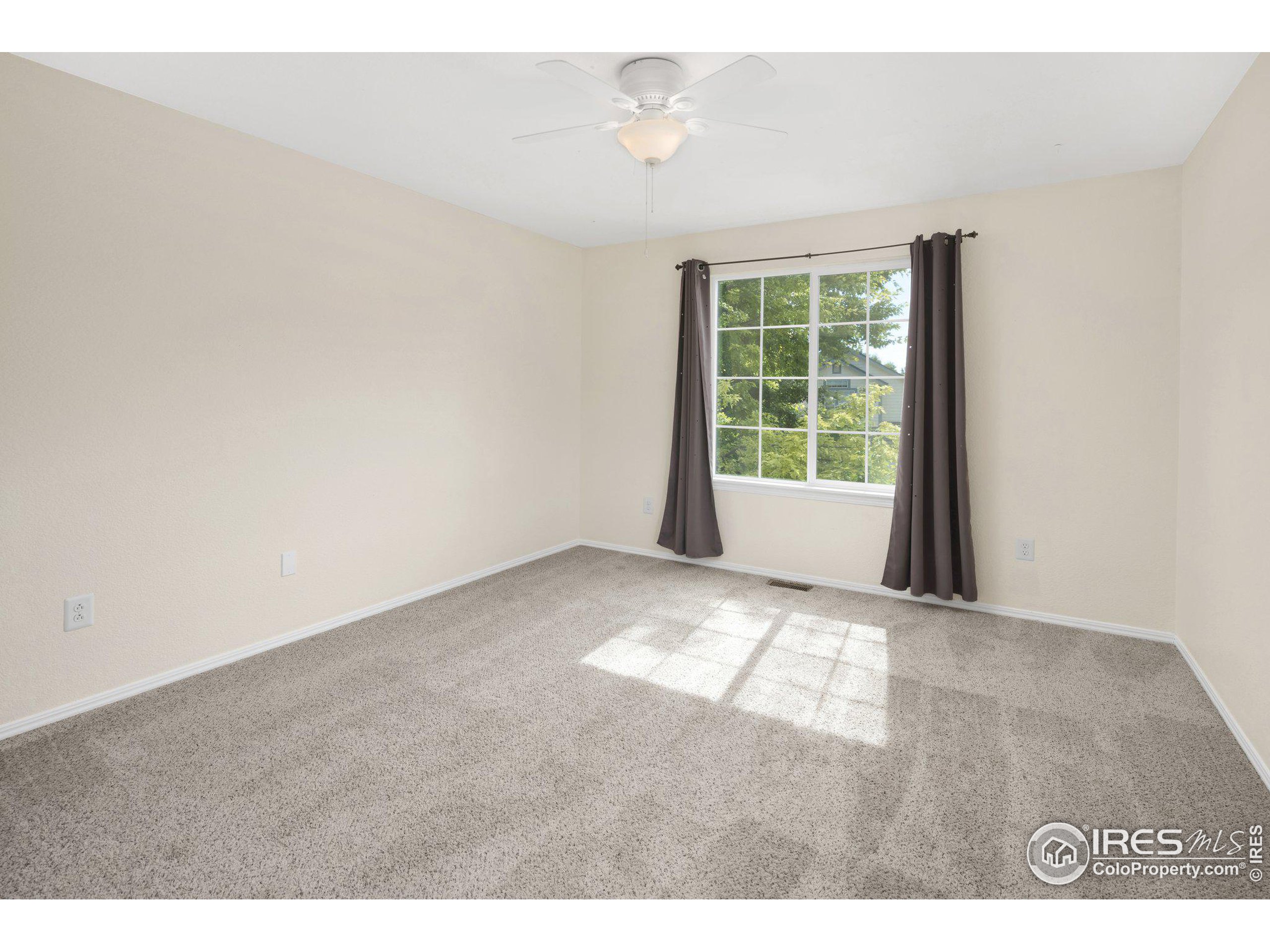 1313 Indian Paintbrush Ln